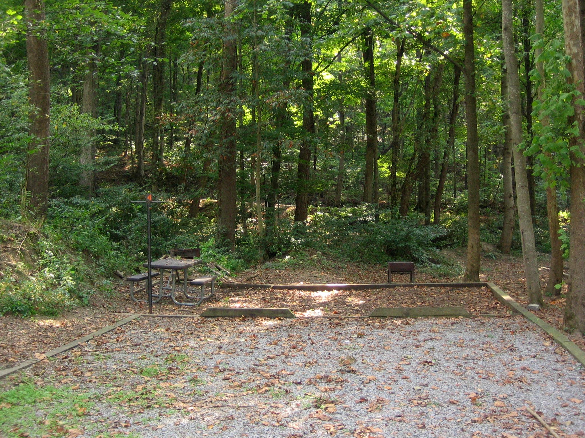 A wooded campsite with two gravel parking spots in front of a camping pad with a picnic table.
