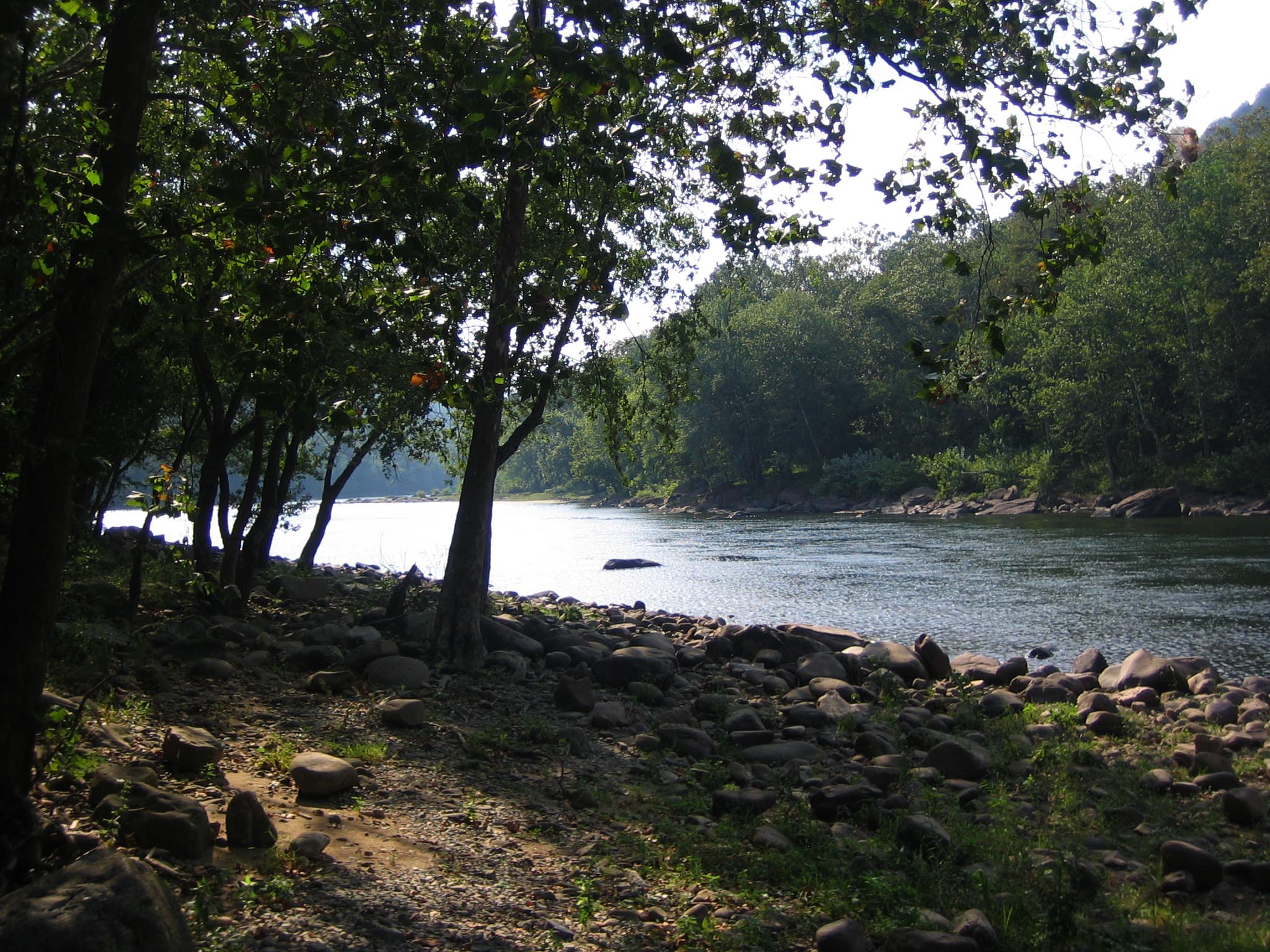 A rocky river bank next to a wide river flowing between tree covered shores