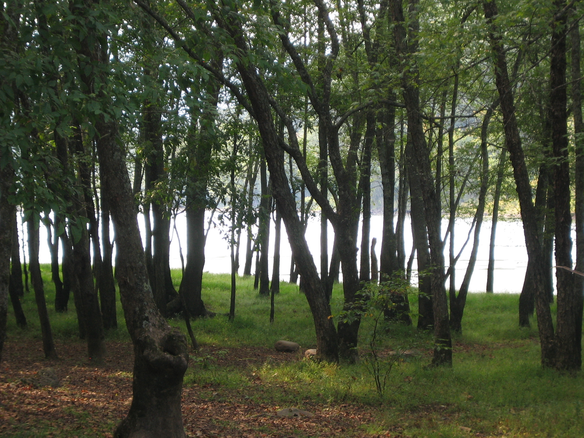 walk in camping area