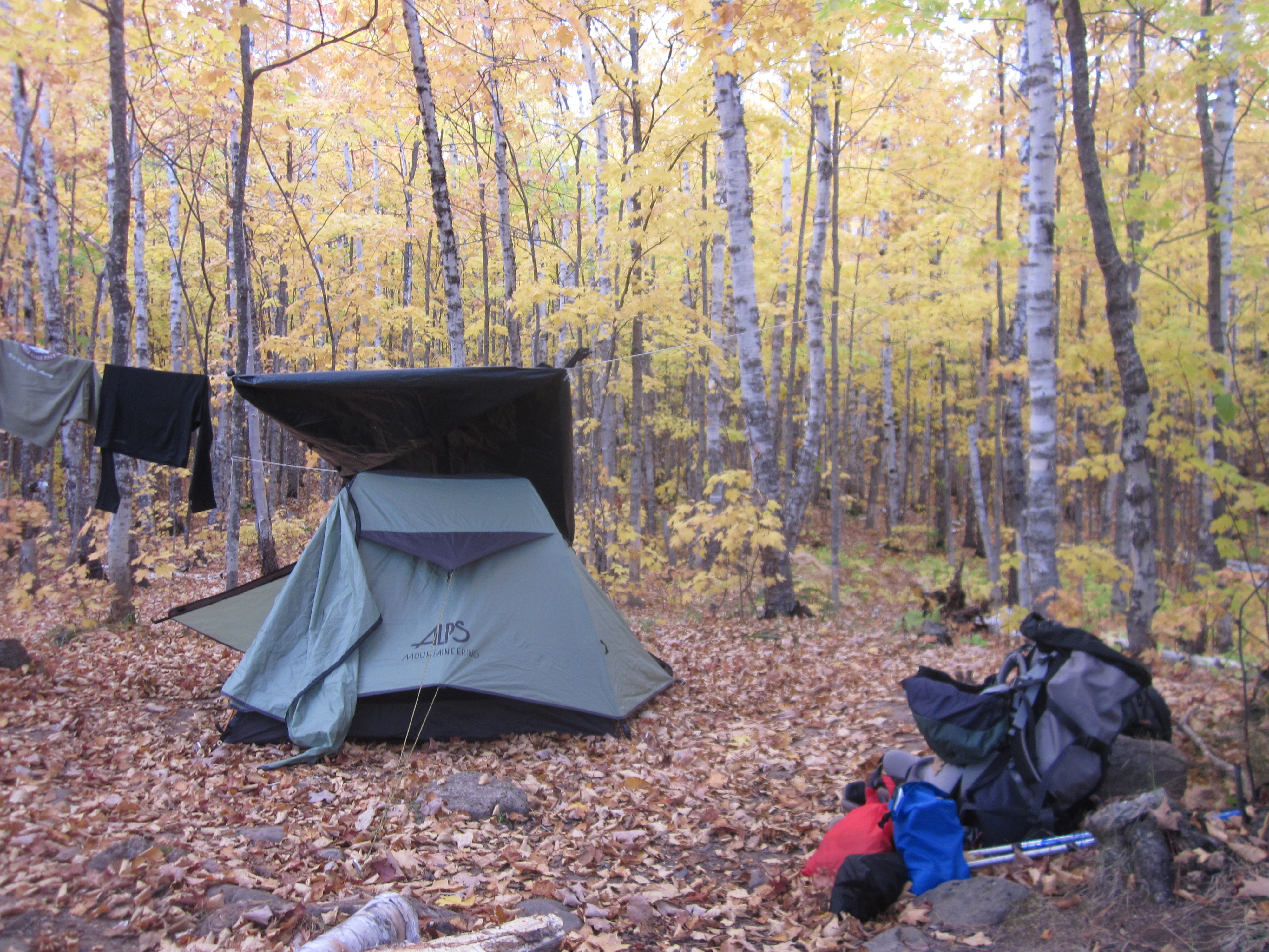 Golden sugar maple leaves surround a tent at a campsite at North Lake Desor Campground in fall.