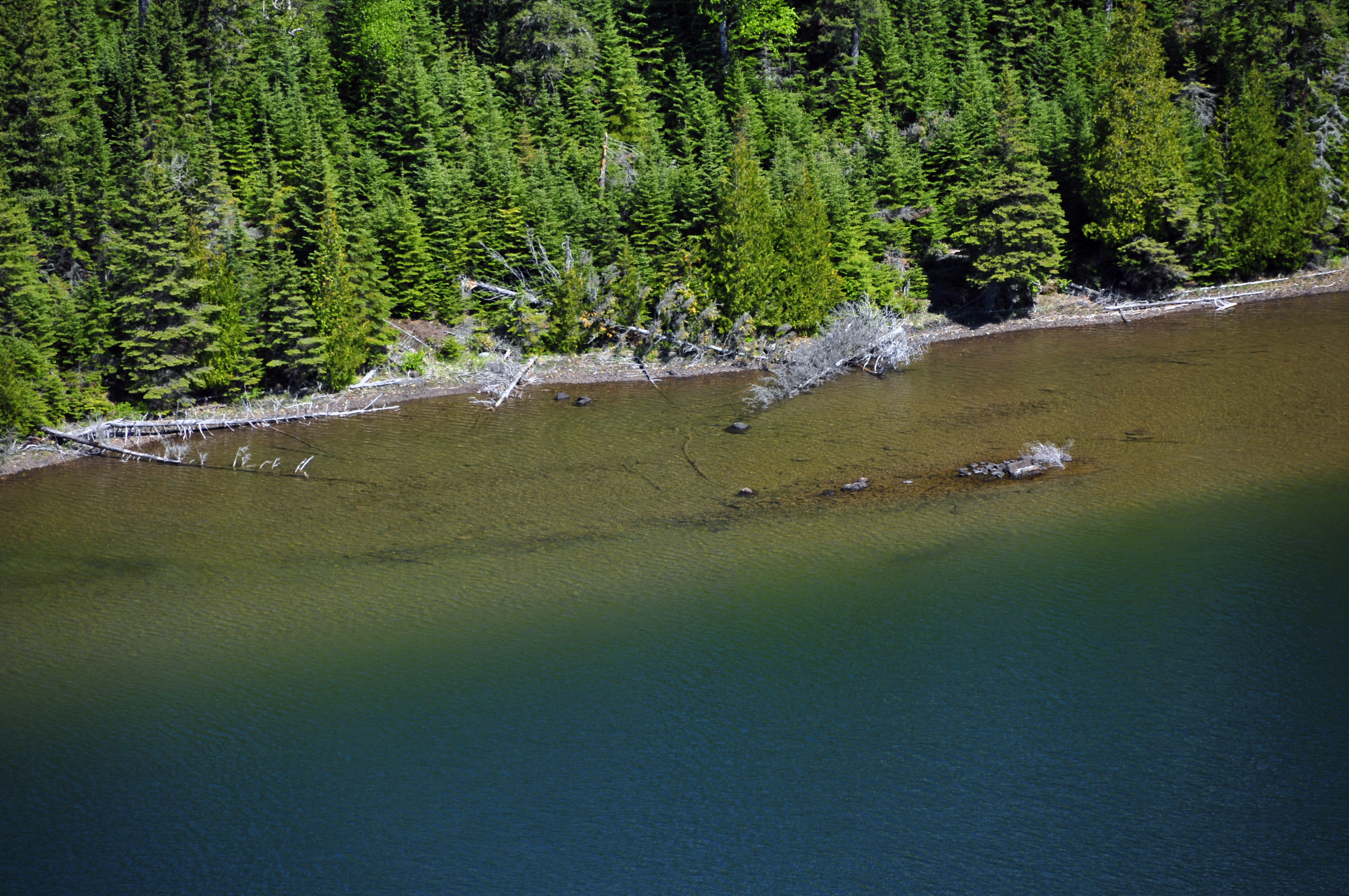 Duncan Bay Campground