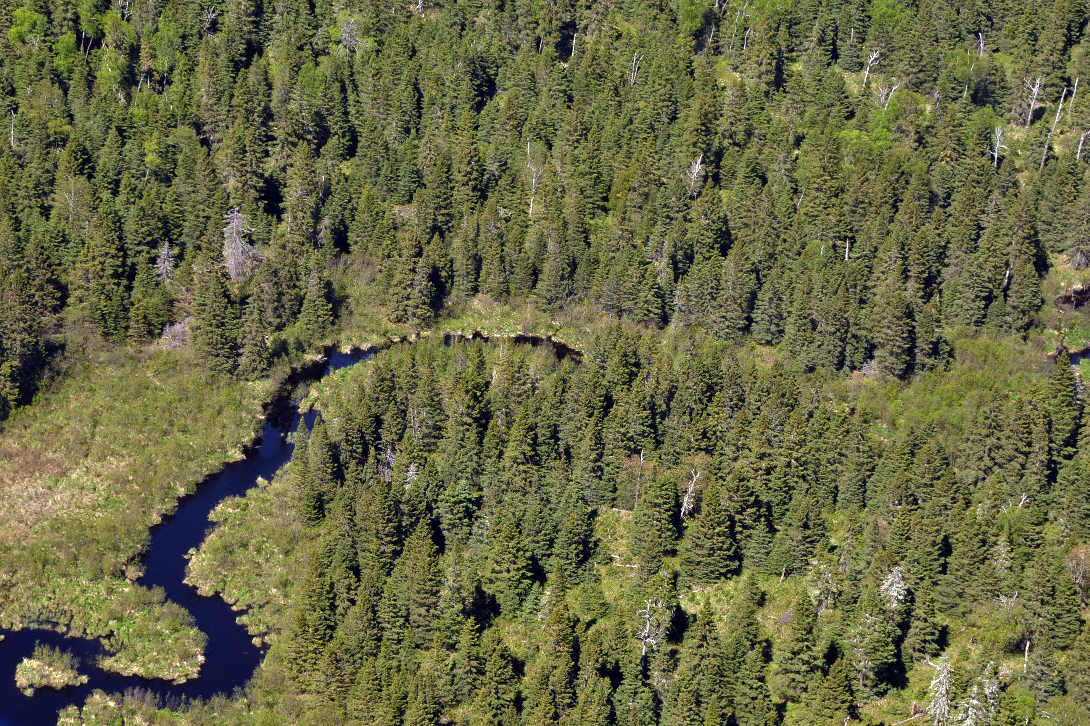 Washington Creek Campground
