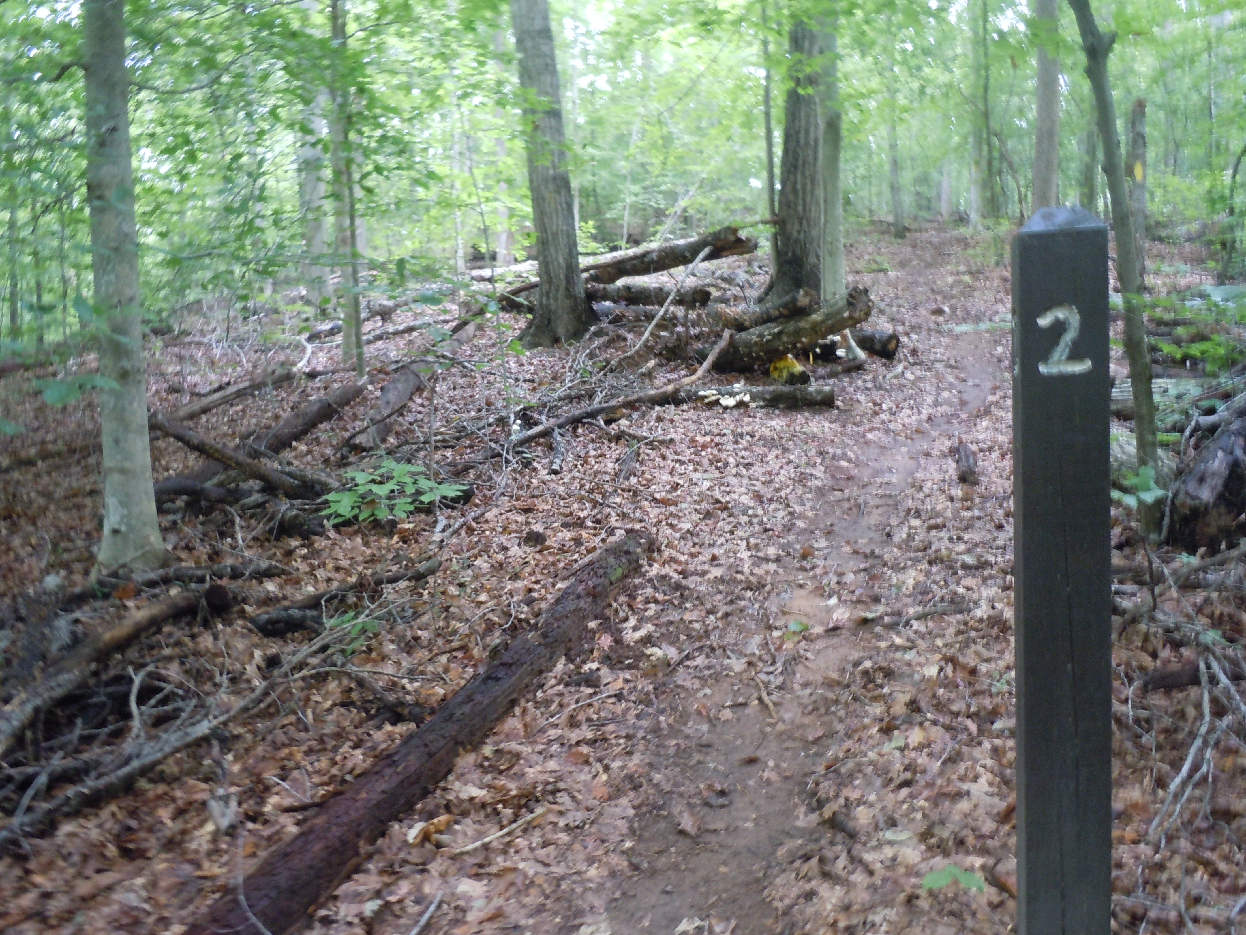 a wooden post with the number 2 marks the entrance to a campsite