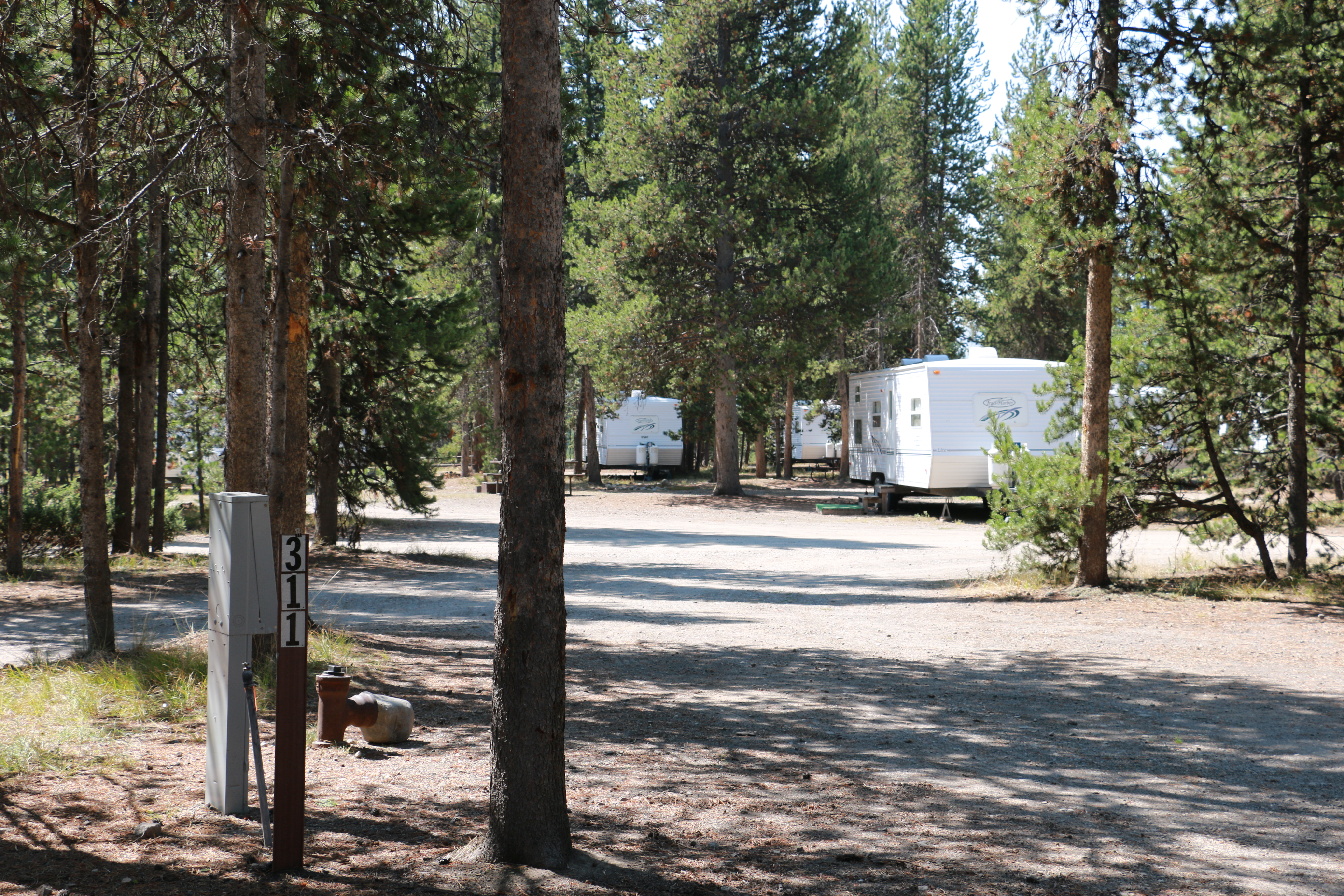 several white camper trailers partly shaded by conifers