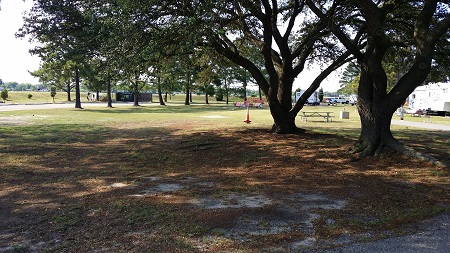 Shaded tent-only site