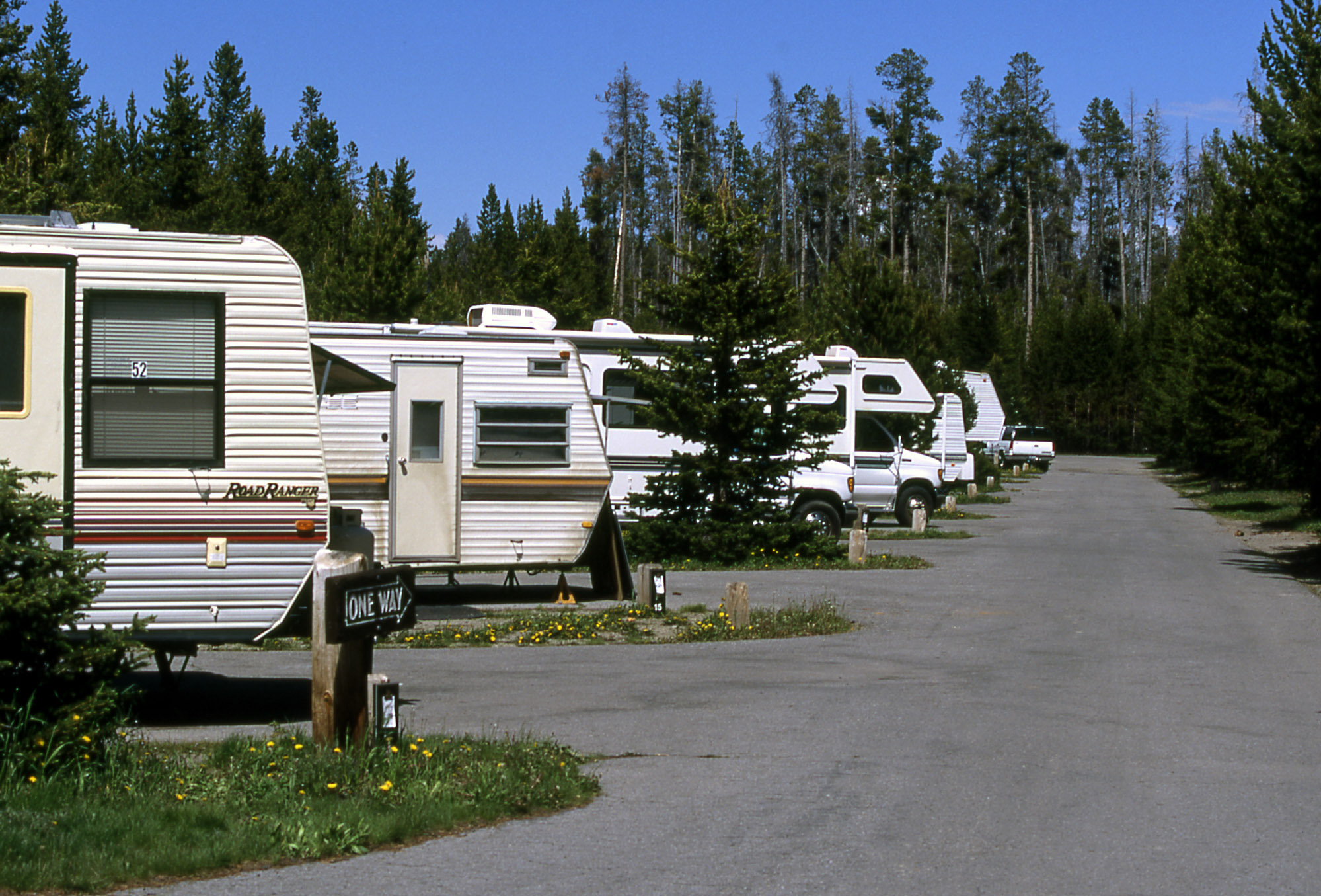 Row of RVs in a campground