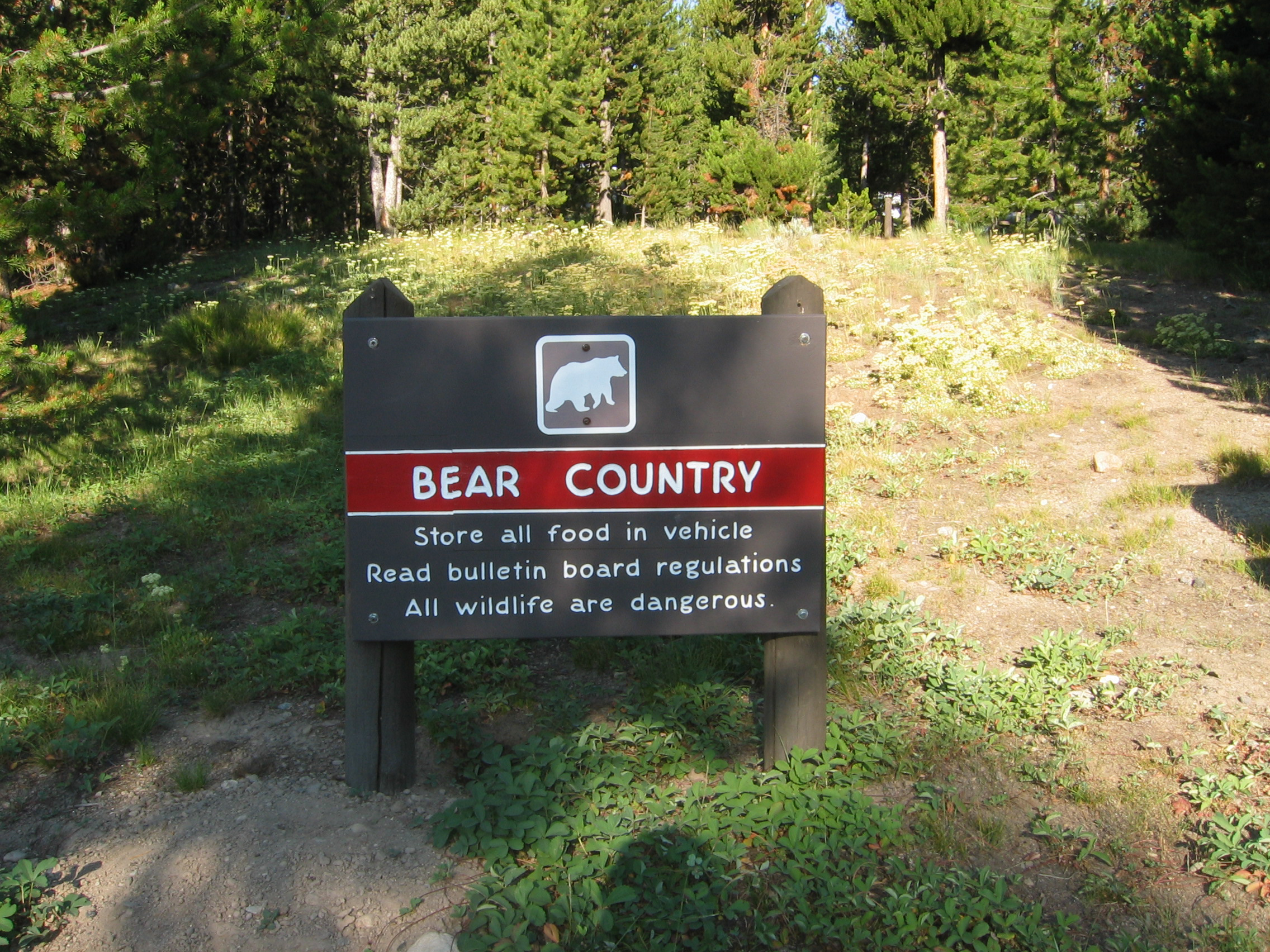 Bear Country sign