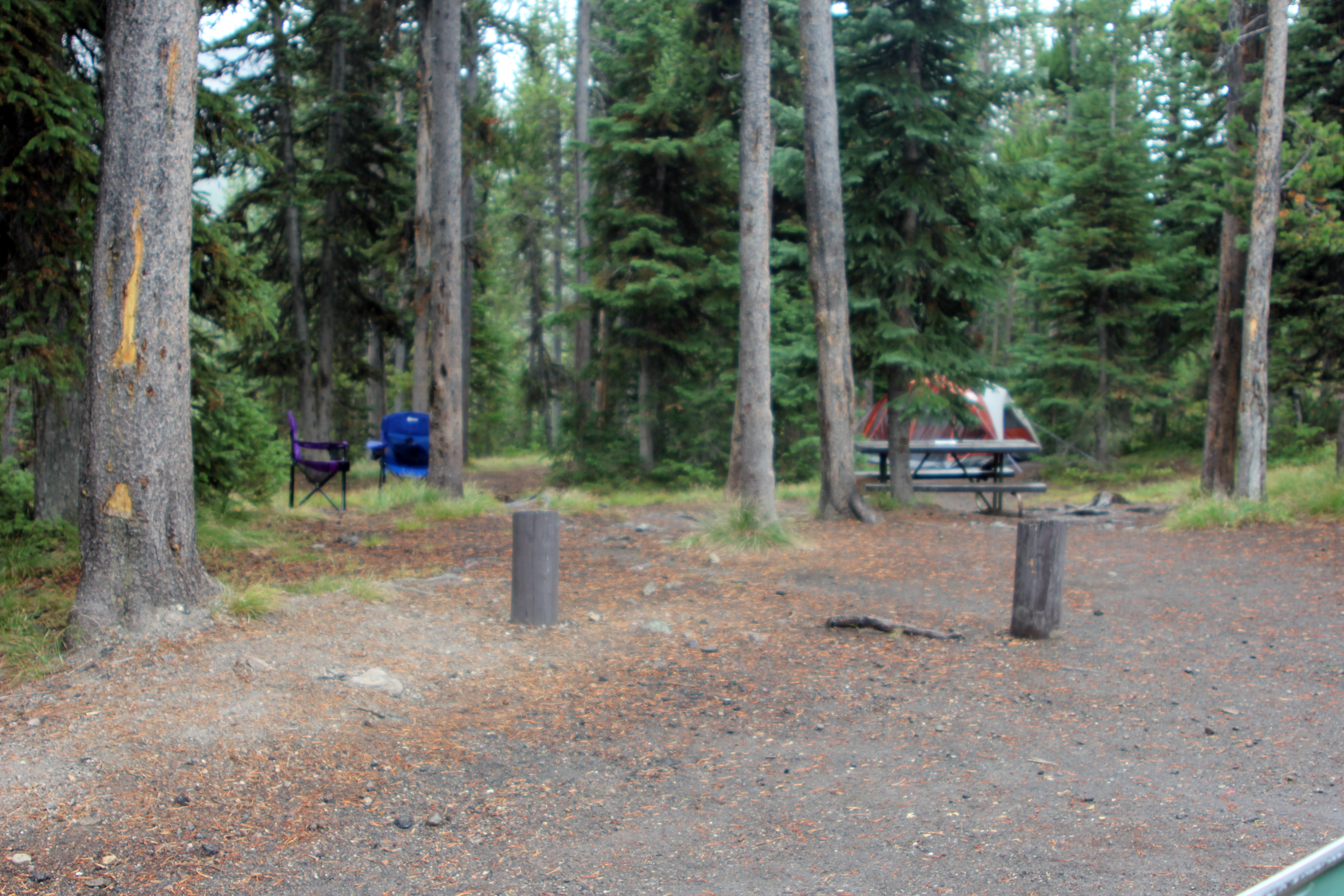 Tent and camp chairs at campsite.