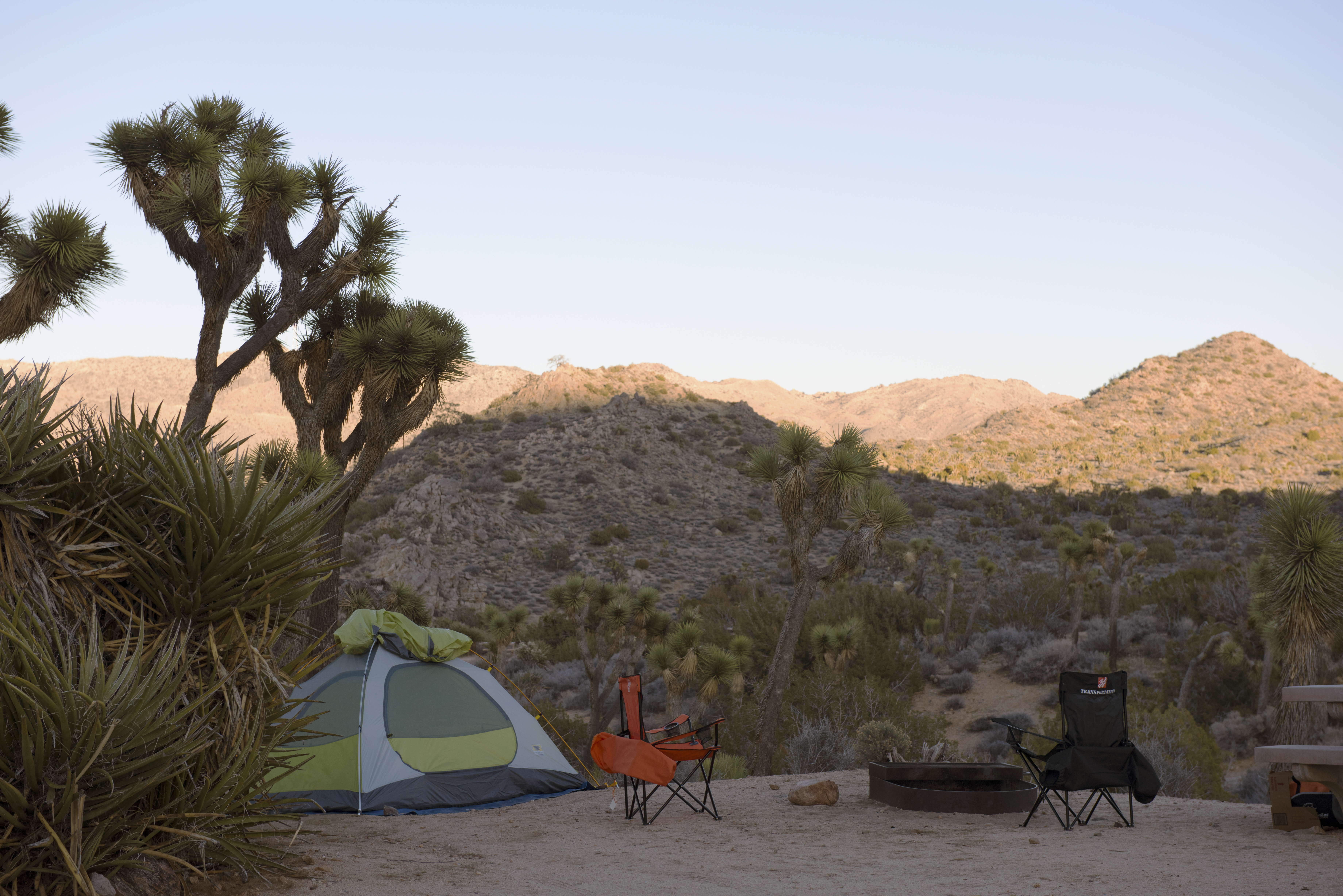 A Joshua Tree, tent and two chairs are around a fire pit.
