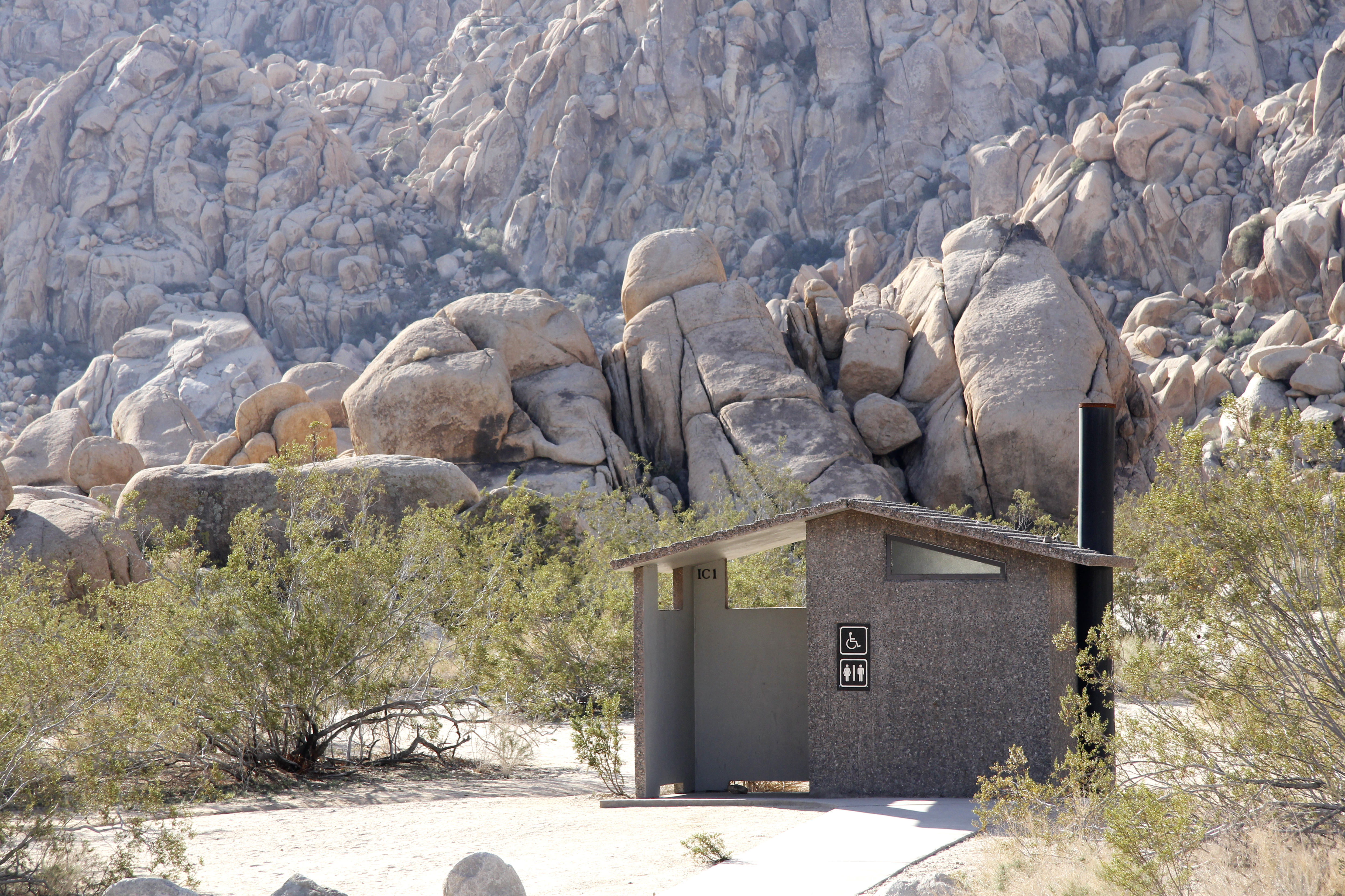 A paved path leading to a small vault toilet.