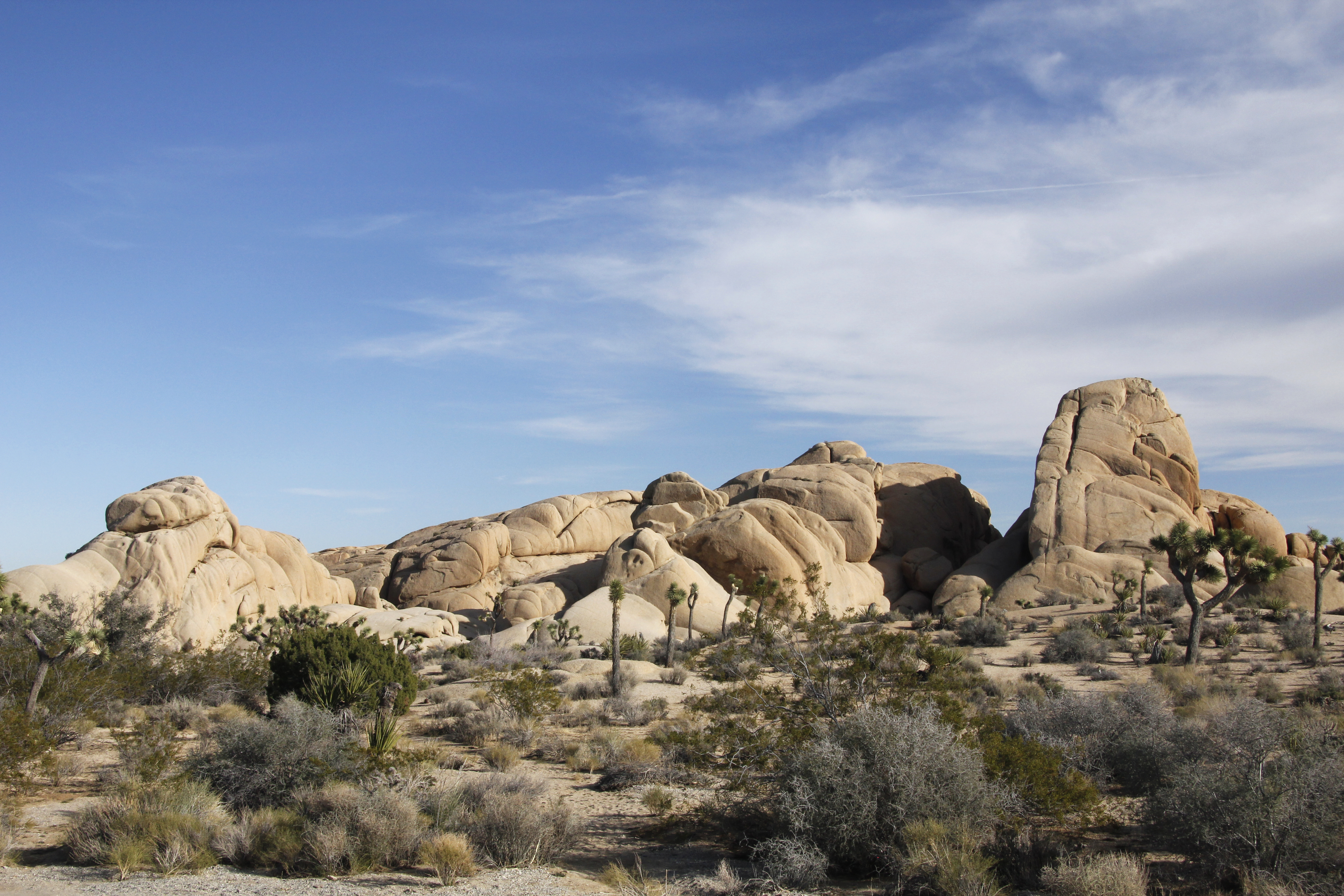 A landscape photograph of rocky outcrops and vegetation.