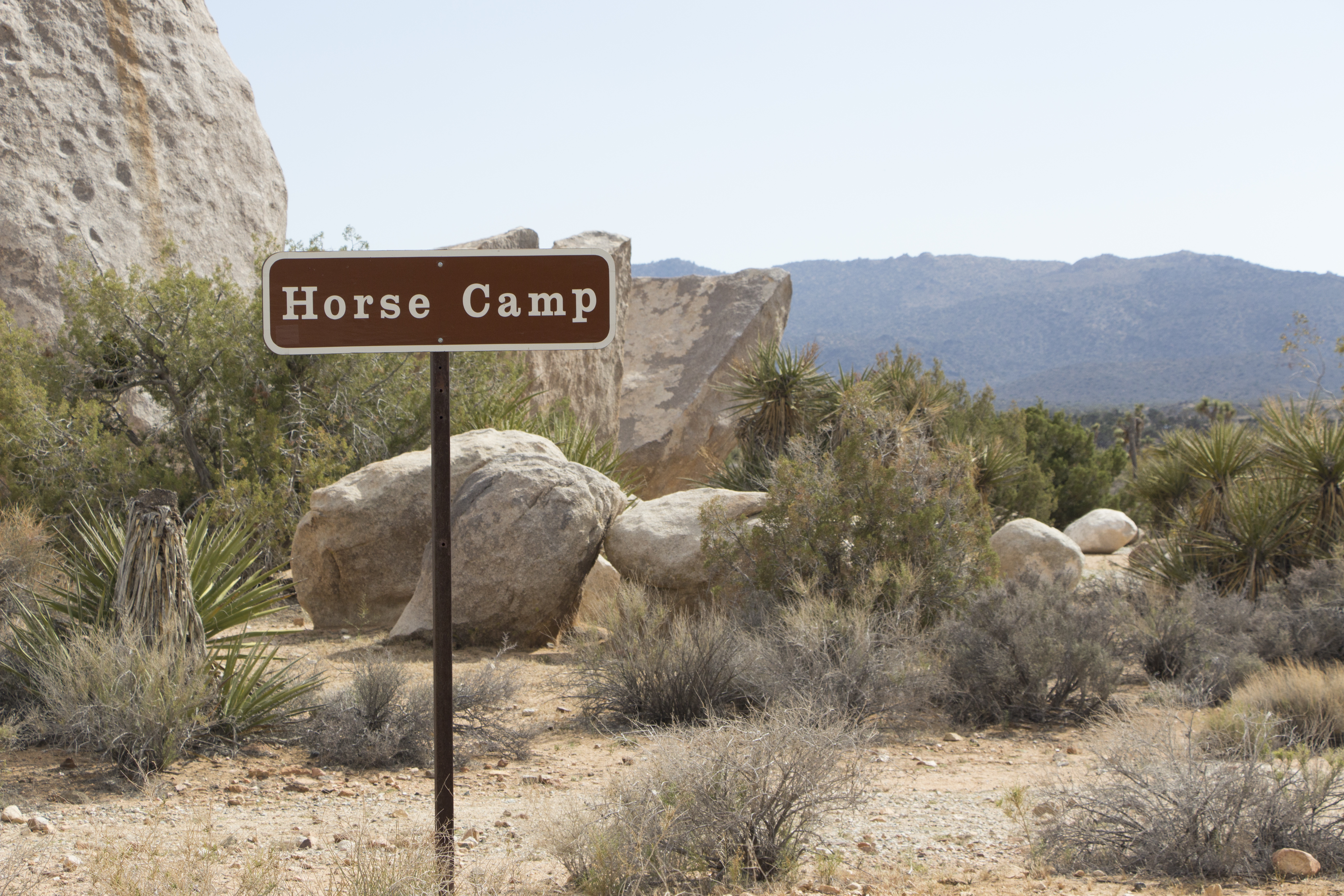 A sign that reads "Horse Camp".