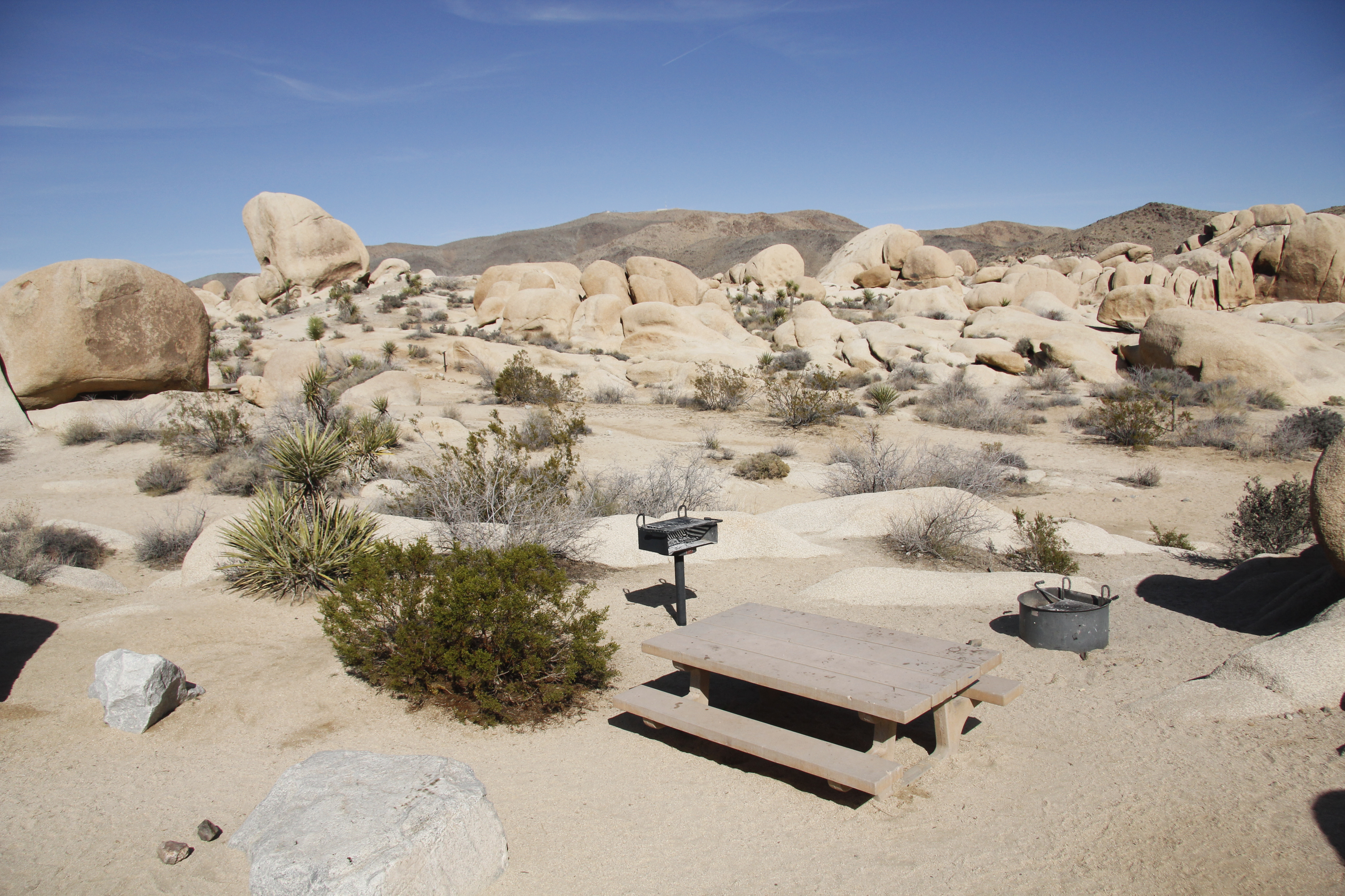 A picnic table and fire ring are in a campsite that has a view looking out on a boulder field.