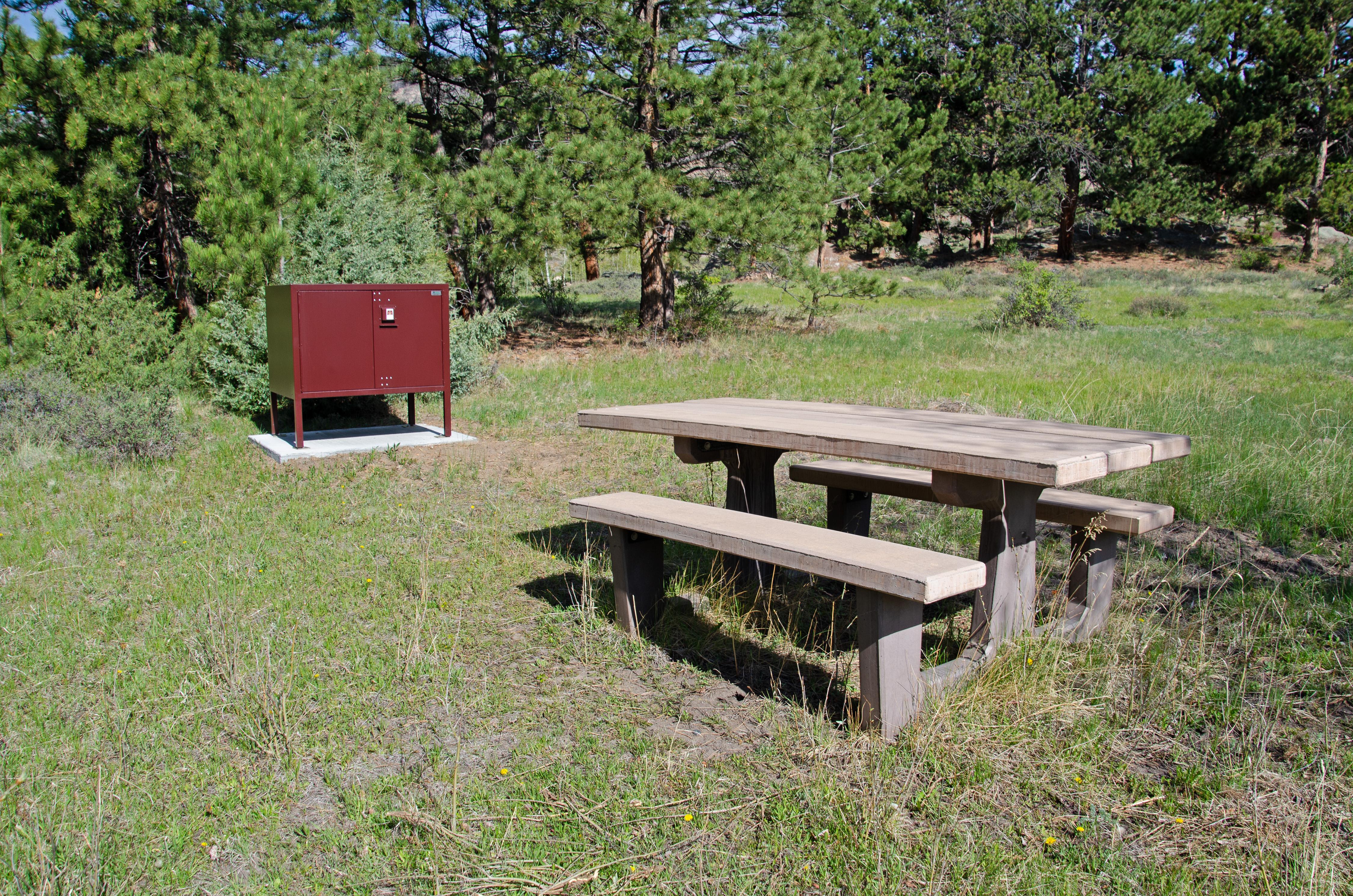 Picnic Table and Food Storage Locker in a meadow area