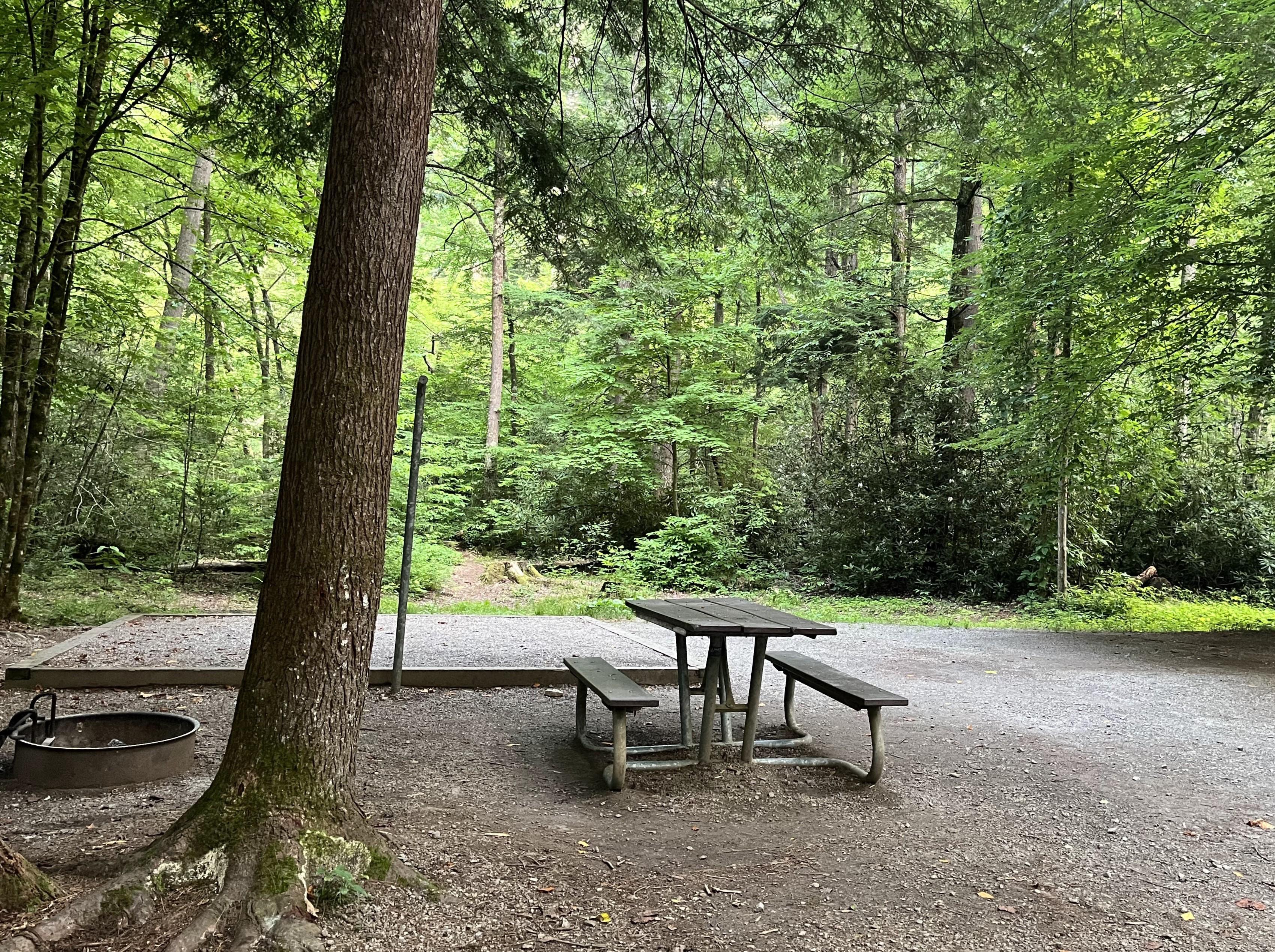 A picnic table, fire ring, gravel tent pad, and metal pole near a gravel parking area. Trees nearby.