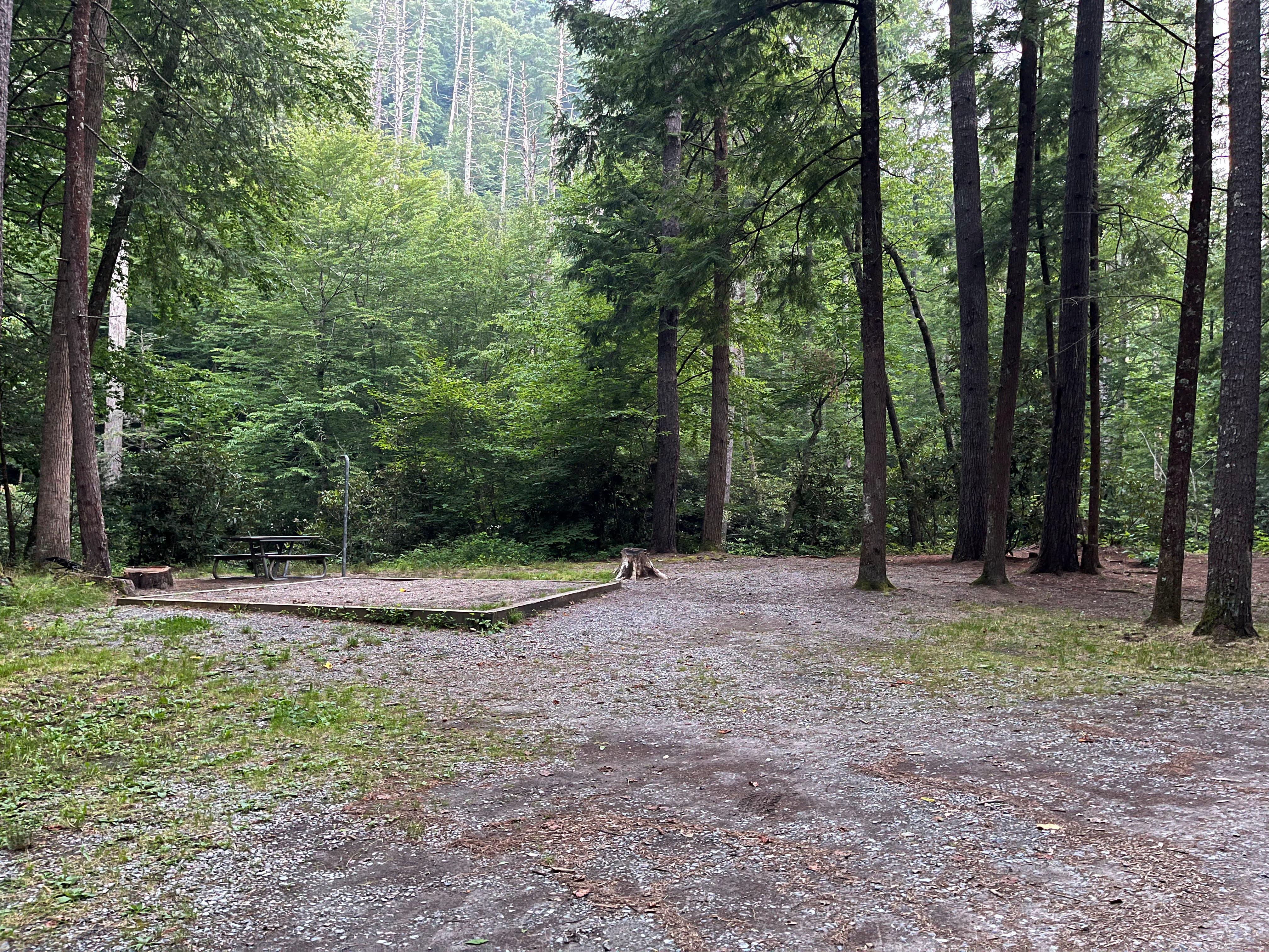 A picnic table, fire ring, tent pad, and metal pole near a gravel parking area and many trees.