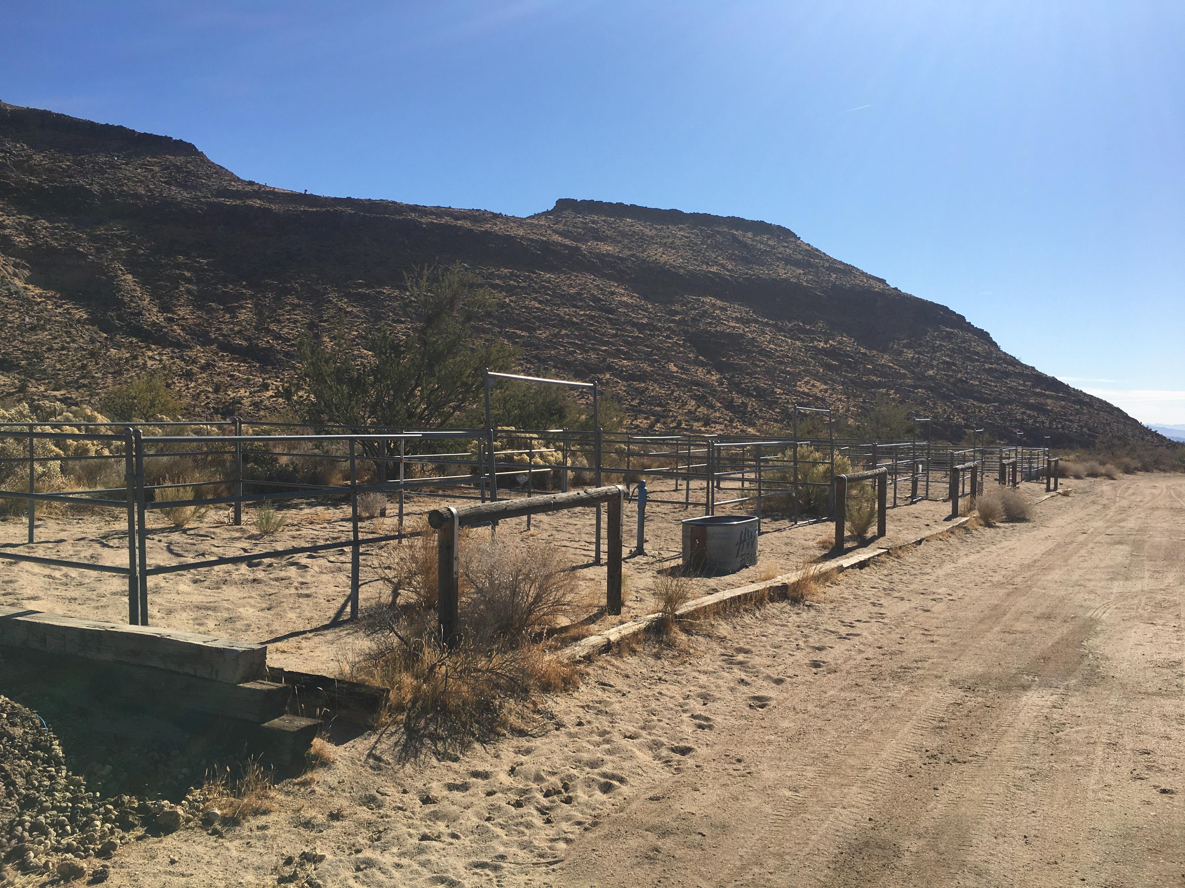 The view of all the horse corrals lined up next to each other. Posts to tie horses are also provided
