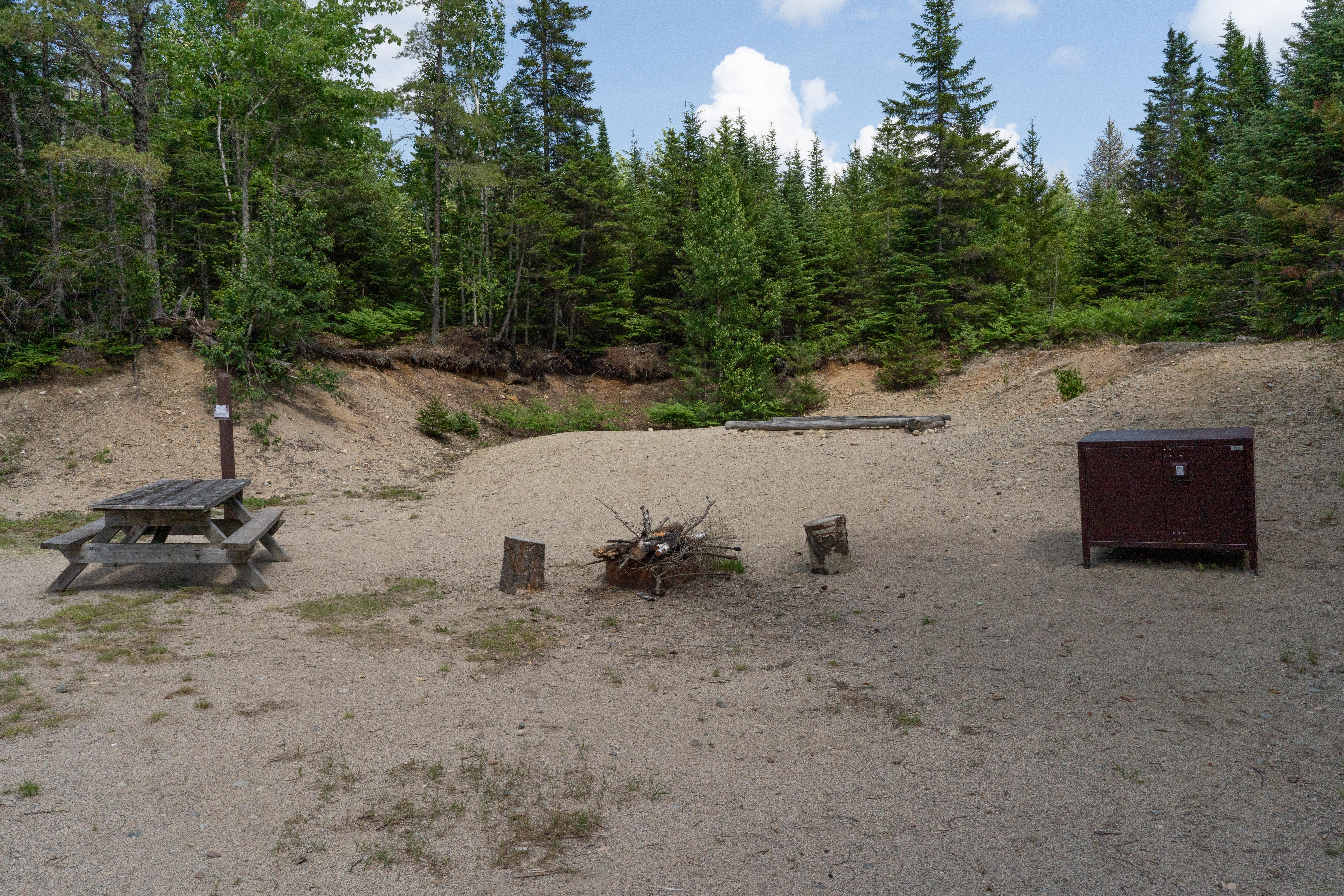 Picnic table, fire ring and bear box on sandy gravel surface with forest in the background.