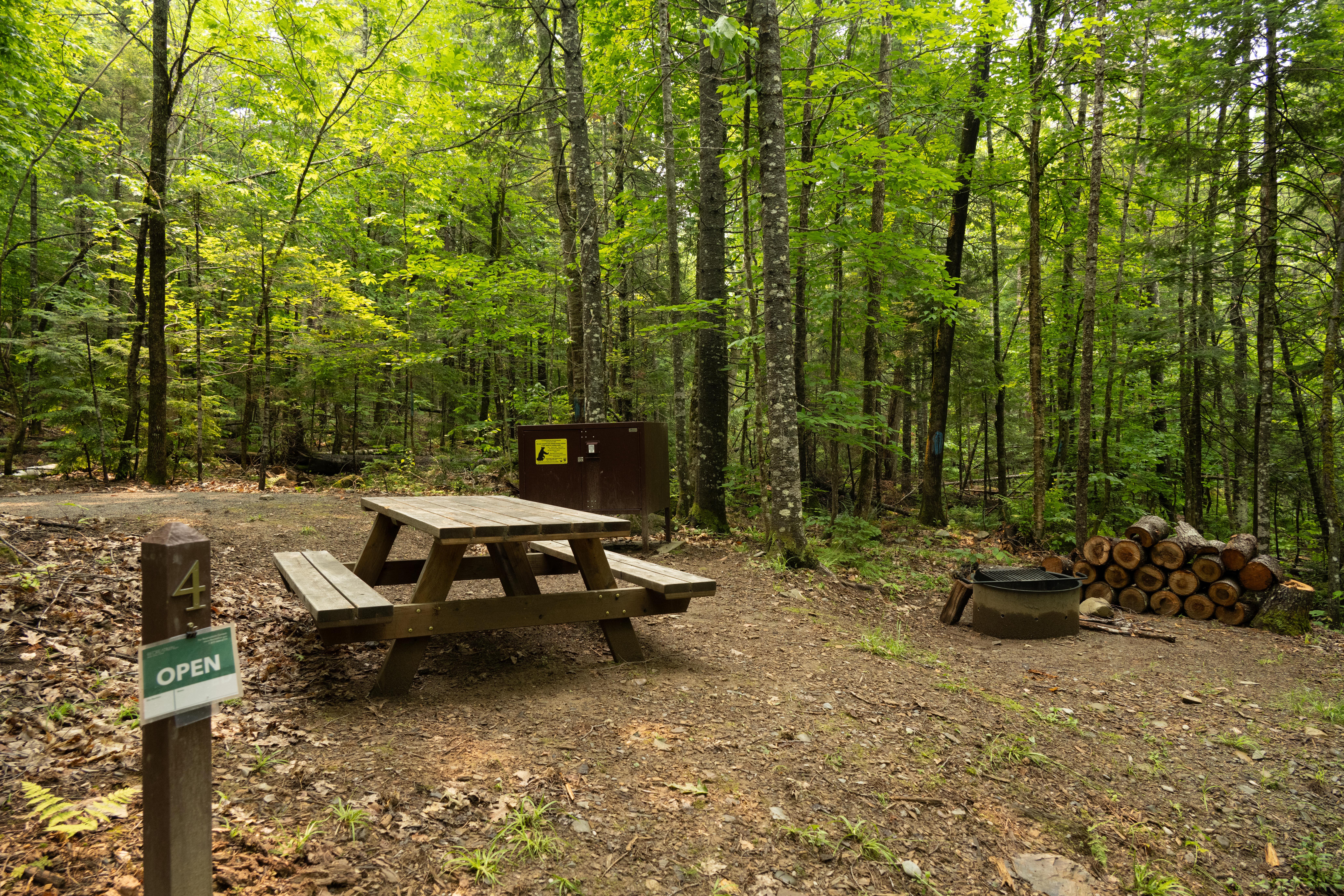 A campsite with metal fire ring, picnic table, and bear box within a forest.