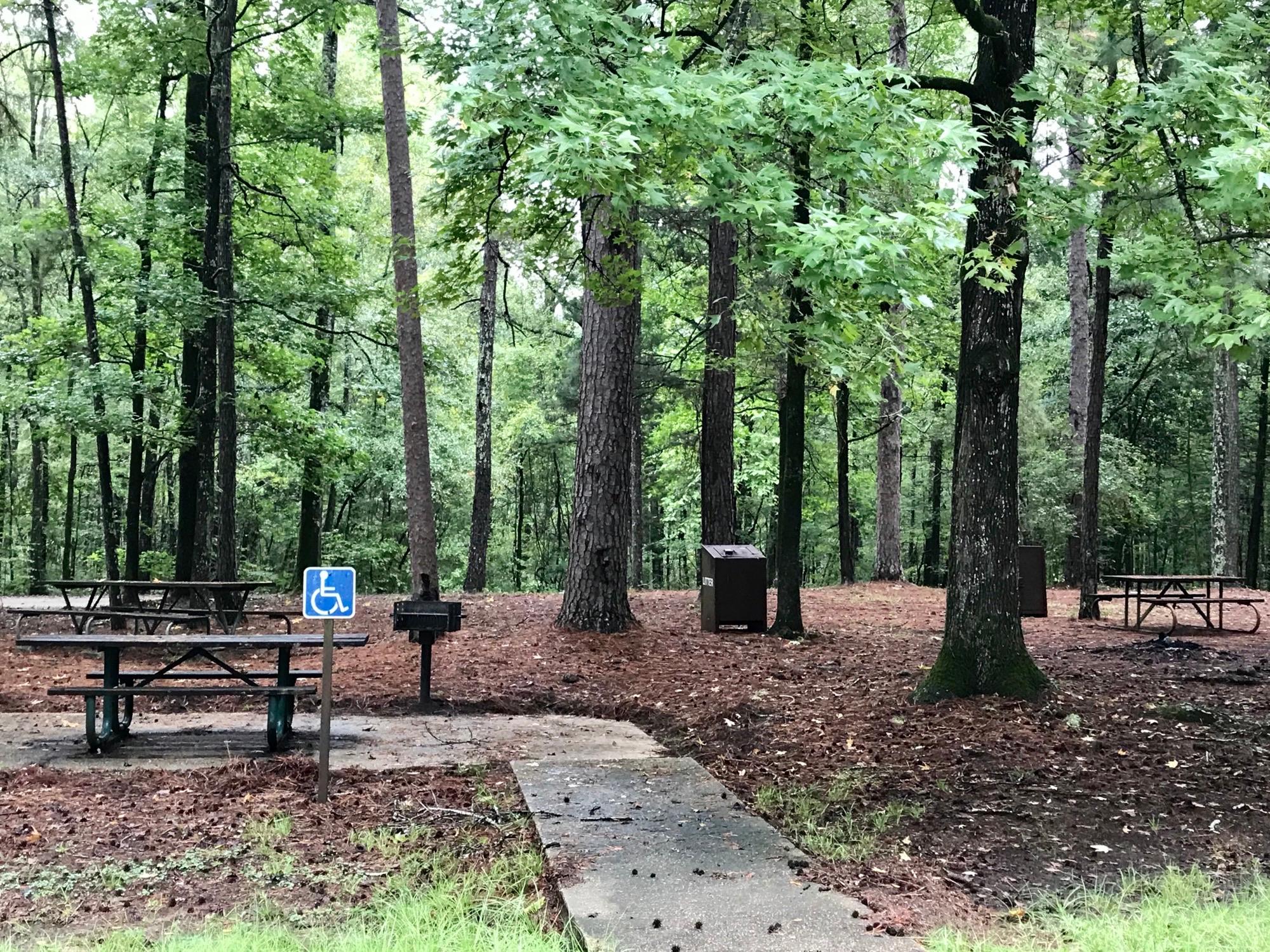 This wooded campsite has wheel chair access to the picnic table.