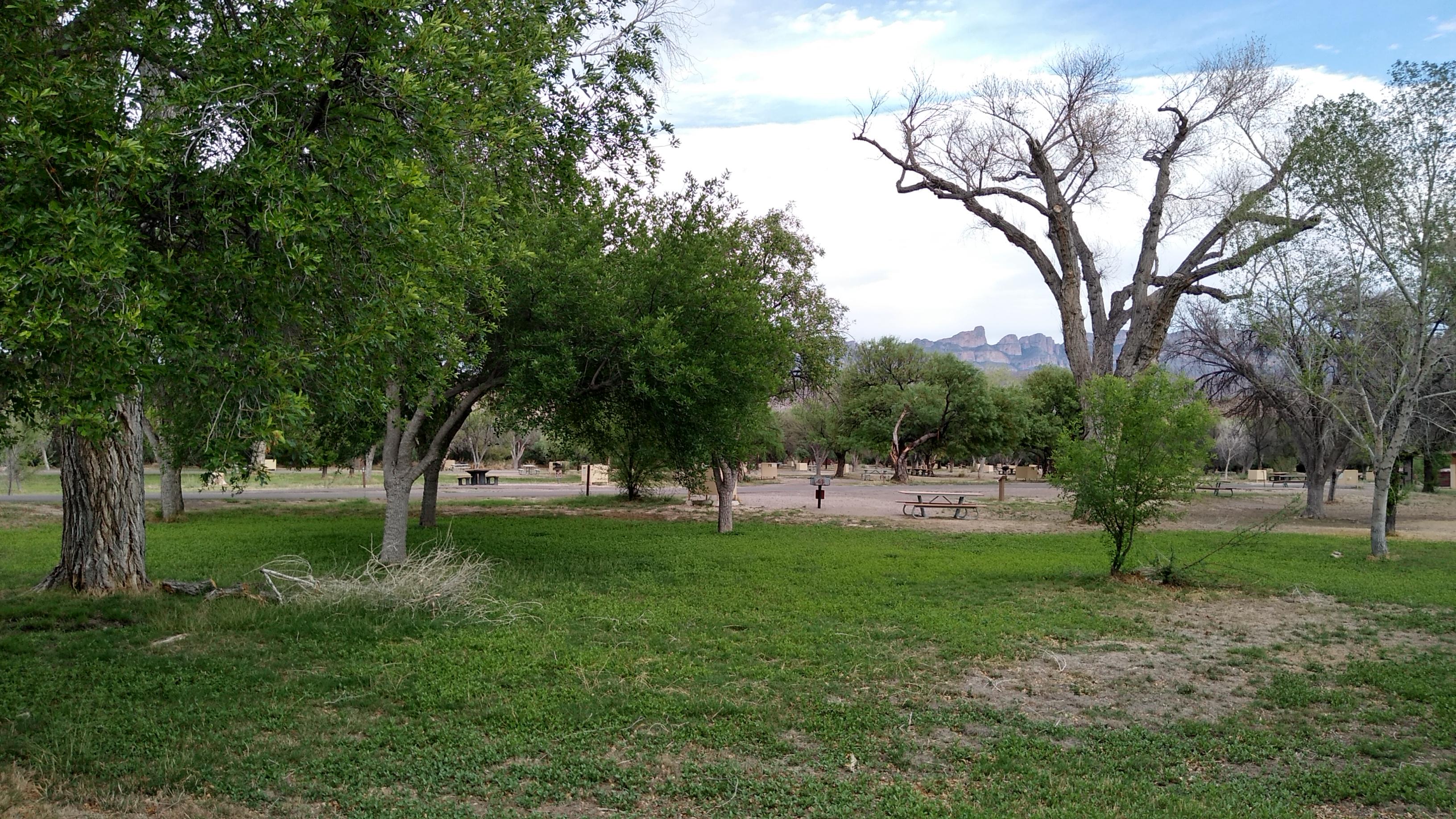 Grassy areas in the Campground