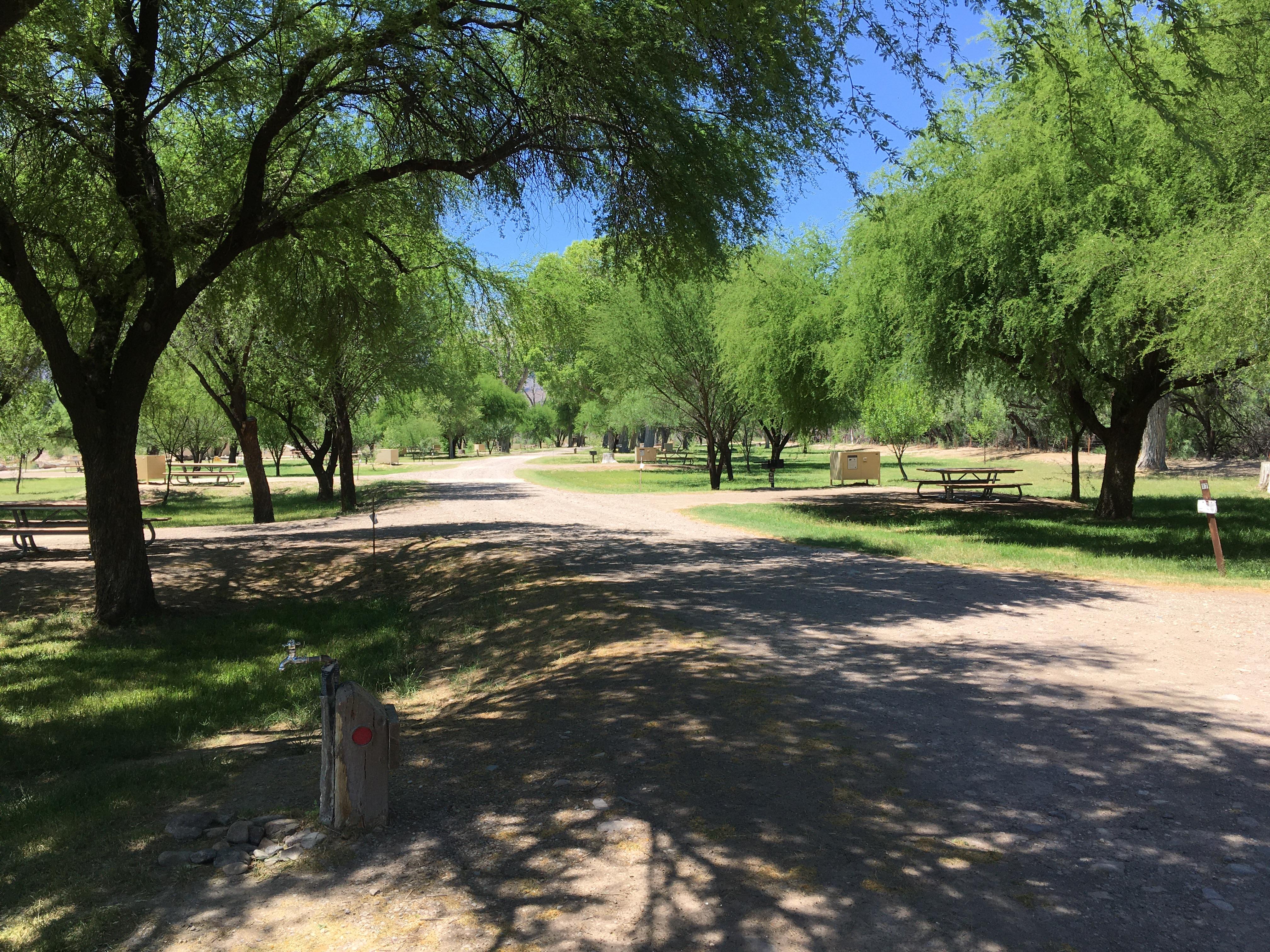 Cottonwood campground view