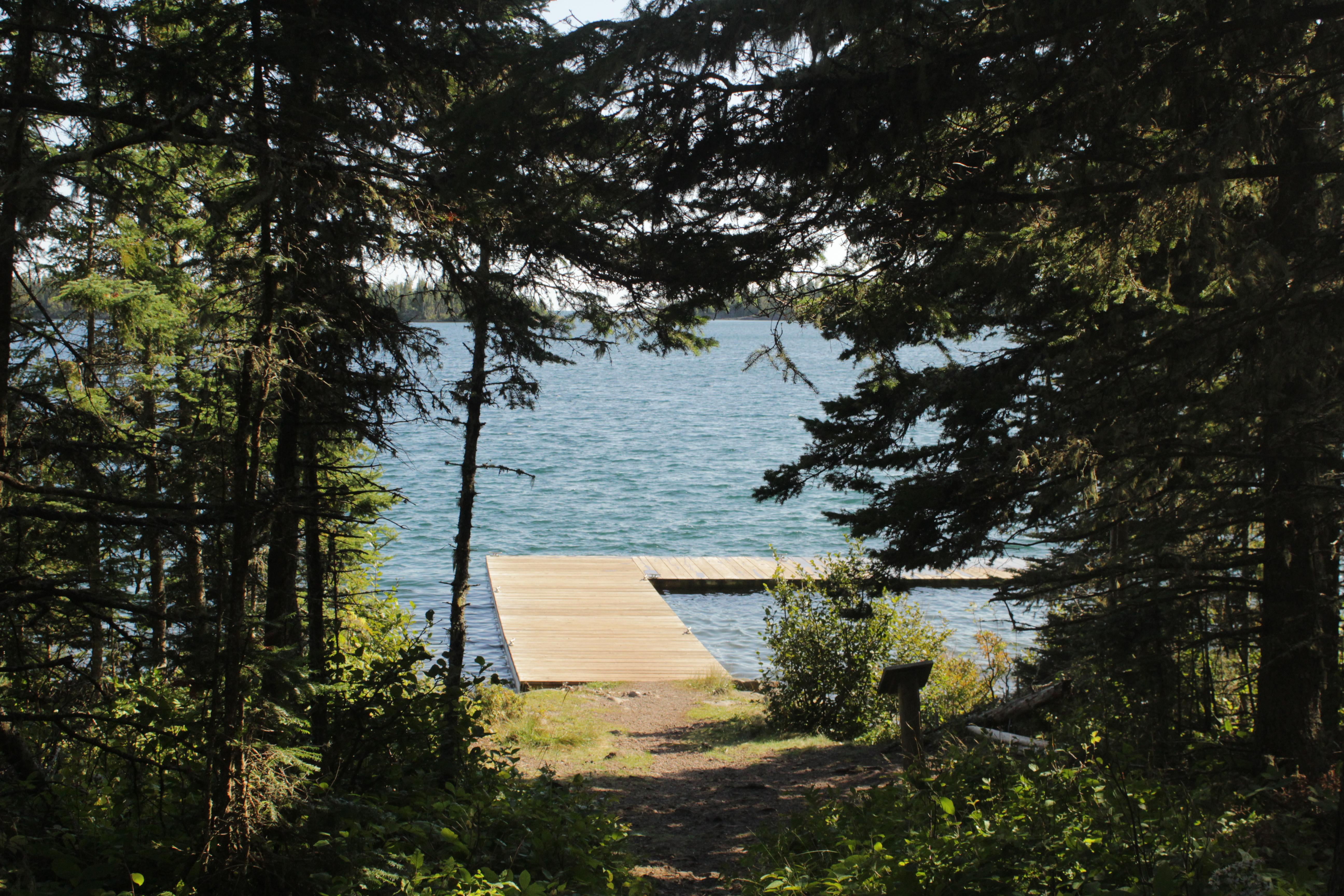 Dock in Lake Superior through a tunnel of trees.