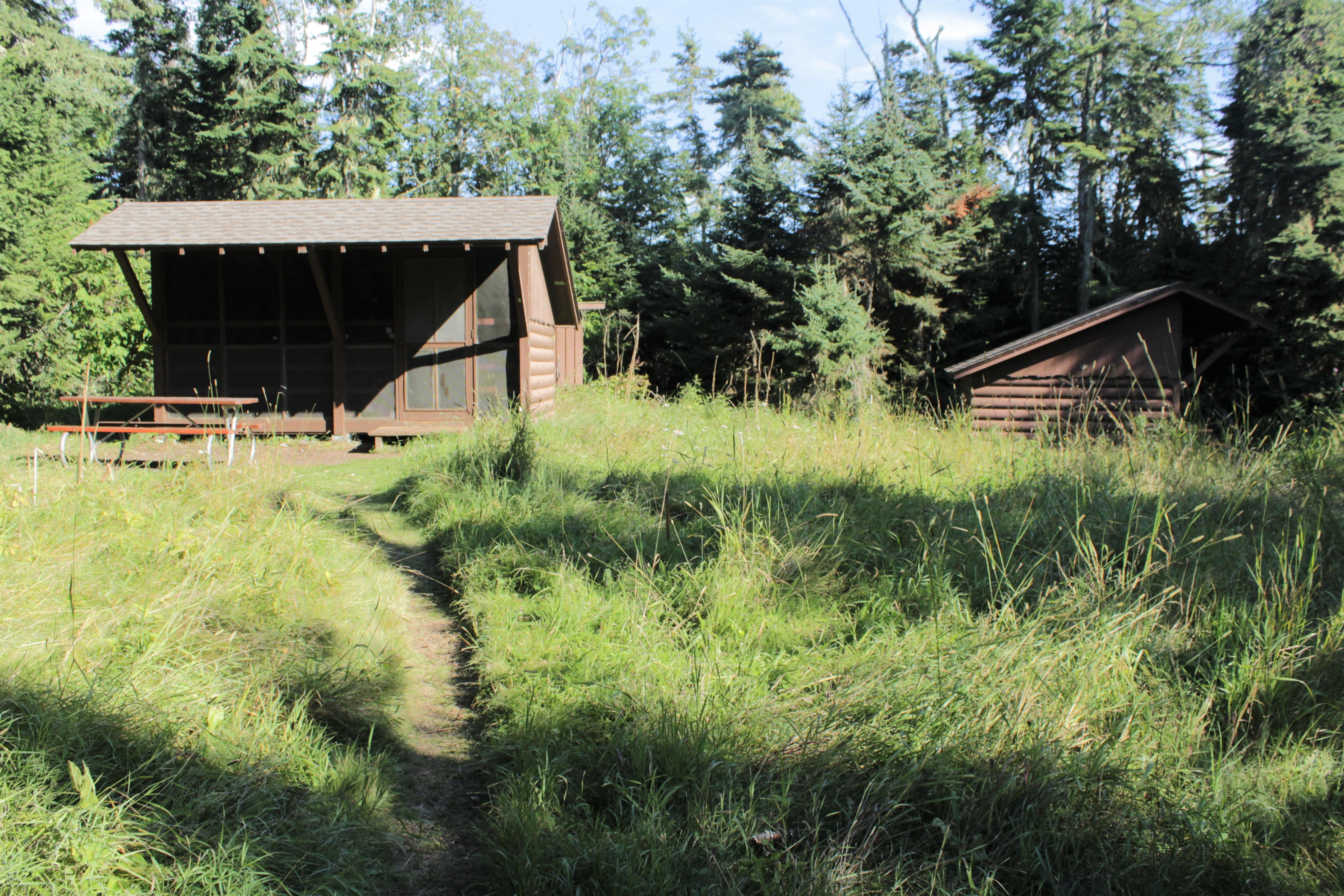 A trail through grass leading to two campground shelters with trees behind them.