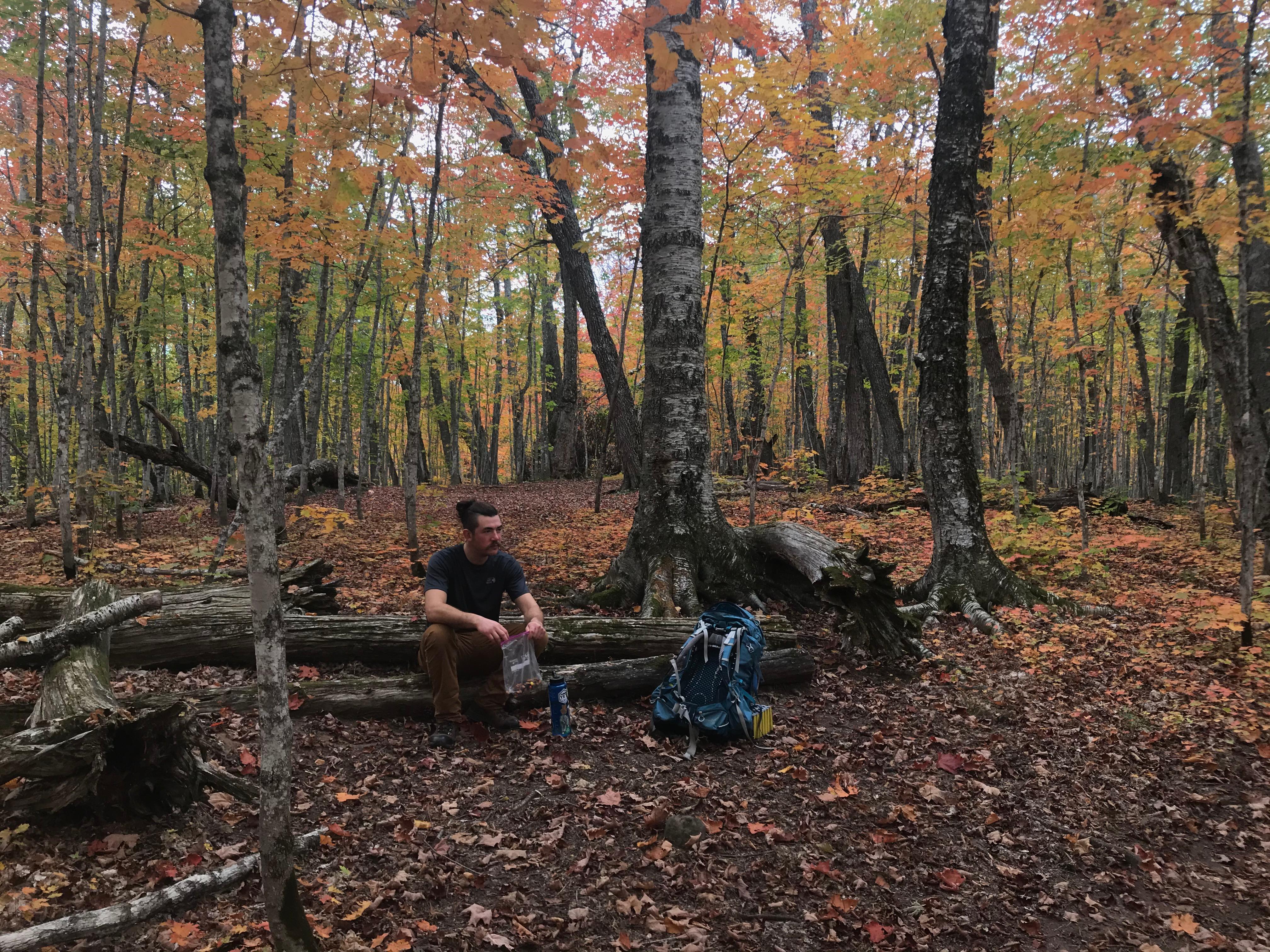 A hike sits on a fallen log surrounded by the forest in fall color. Leaves litter the ground.