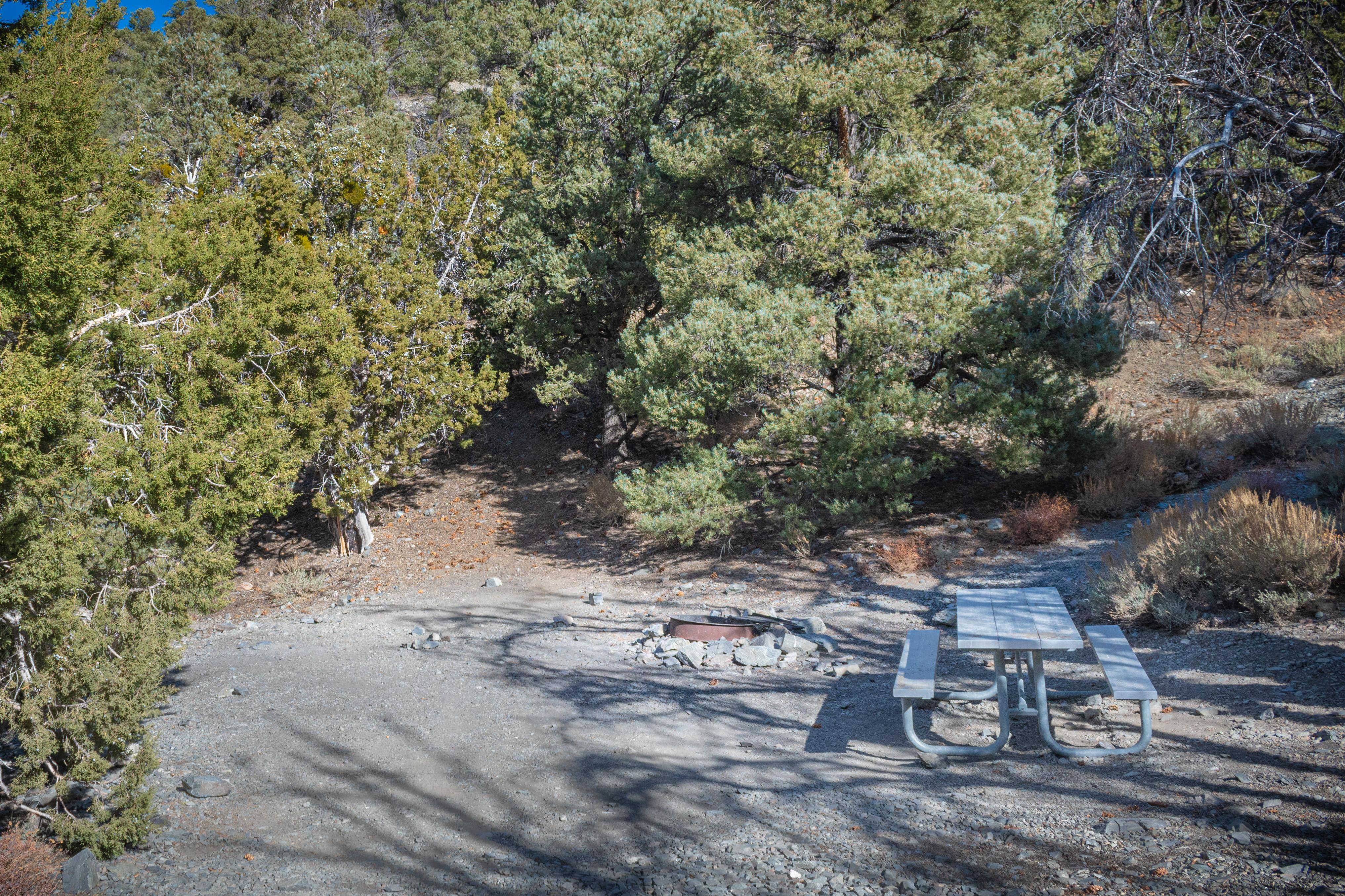 30' diameter flat space with a metal picnic table surrounded by tall trees..