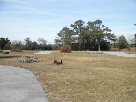 Bayside Loop A Site grassy