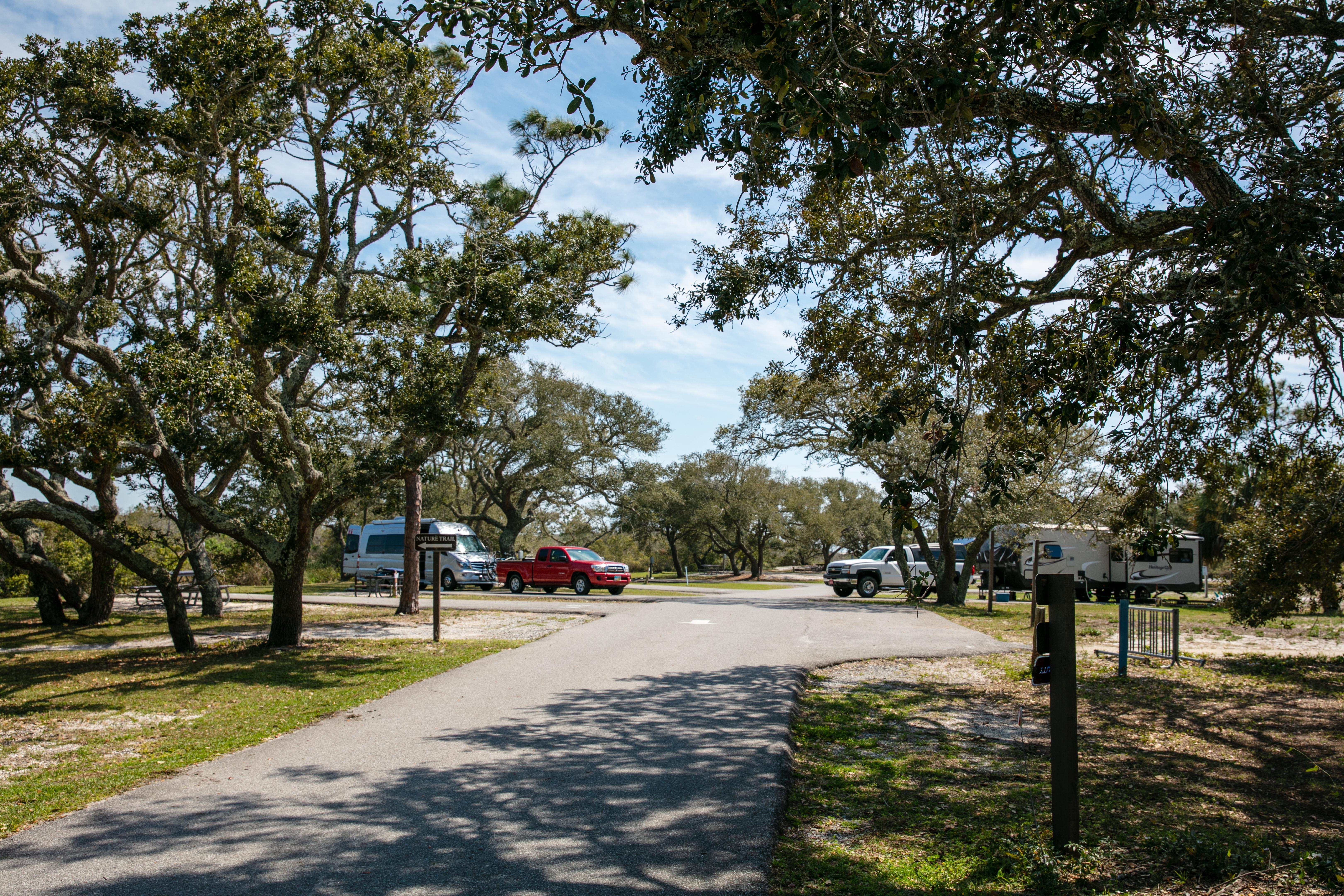 A road bisects a campground with trees lining the sides.