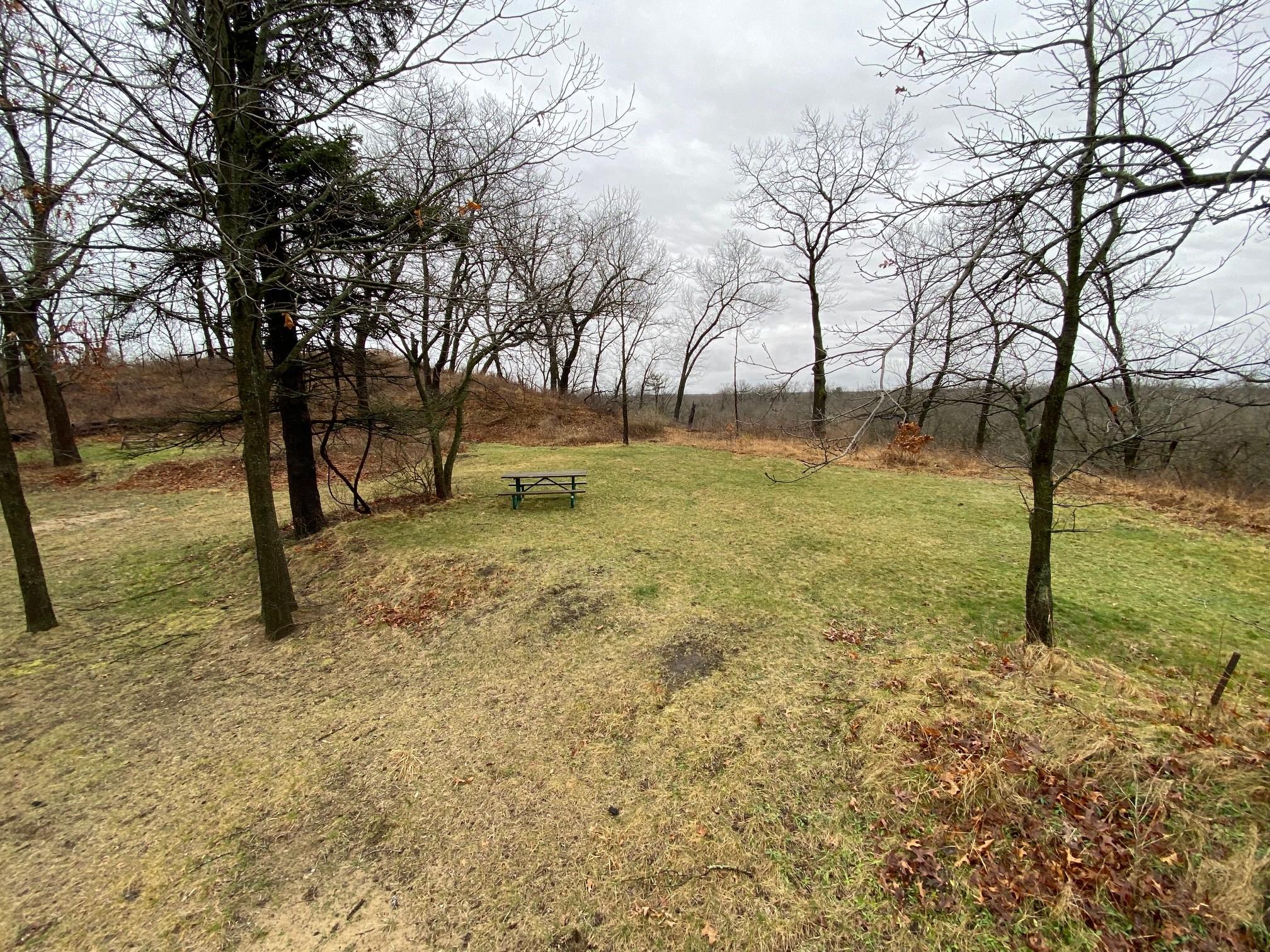 The camping area of the site is grassy