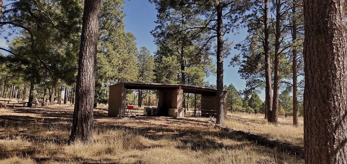 an image of an open sided but covered picnic shelter with big green trees all around