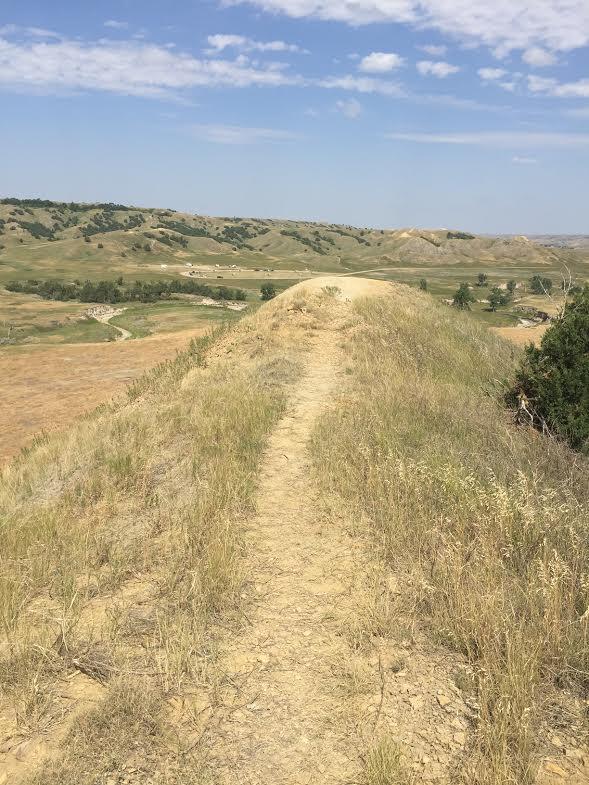 Dirt path travels along brown prairie grasses under blue sky.