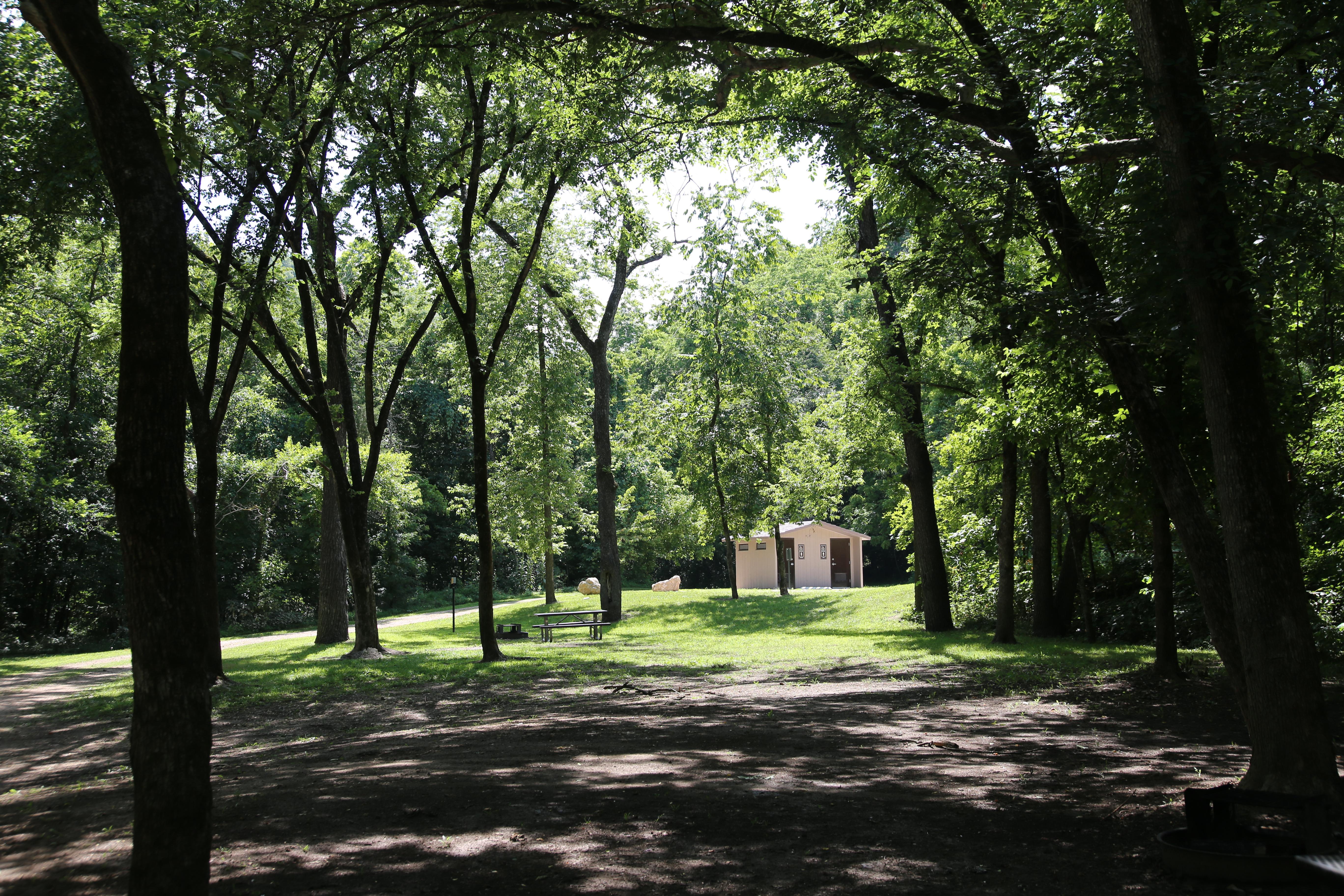 A heavily shaded campsite opens up into a bright, grassy field.