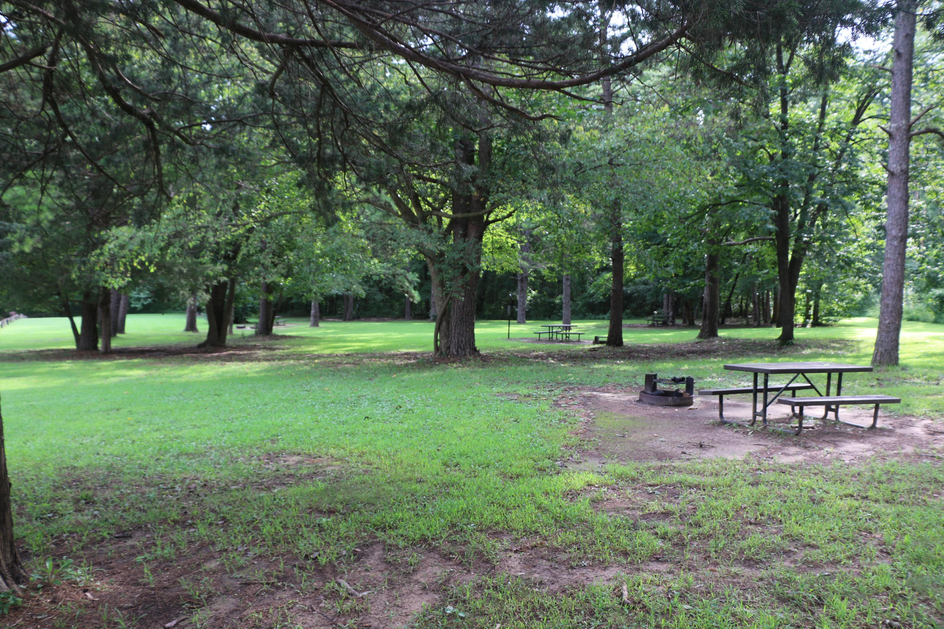 Picnic table and fire rings nestled under a mix of shade trees at Kyle's Landing Campground.