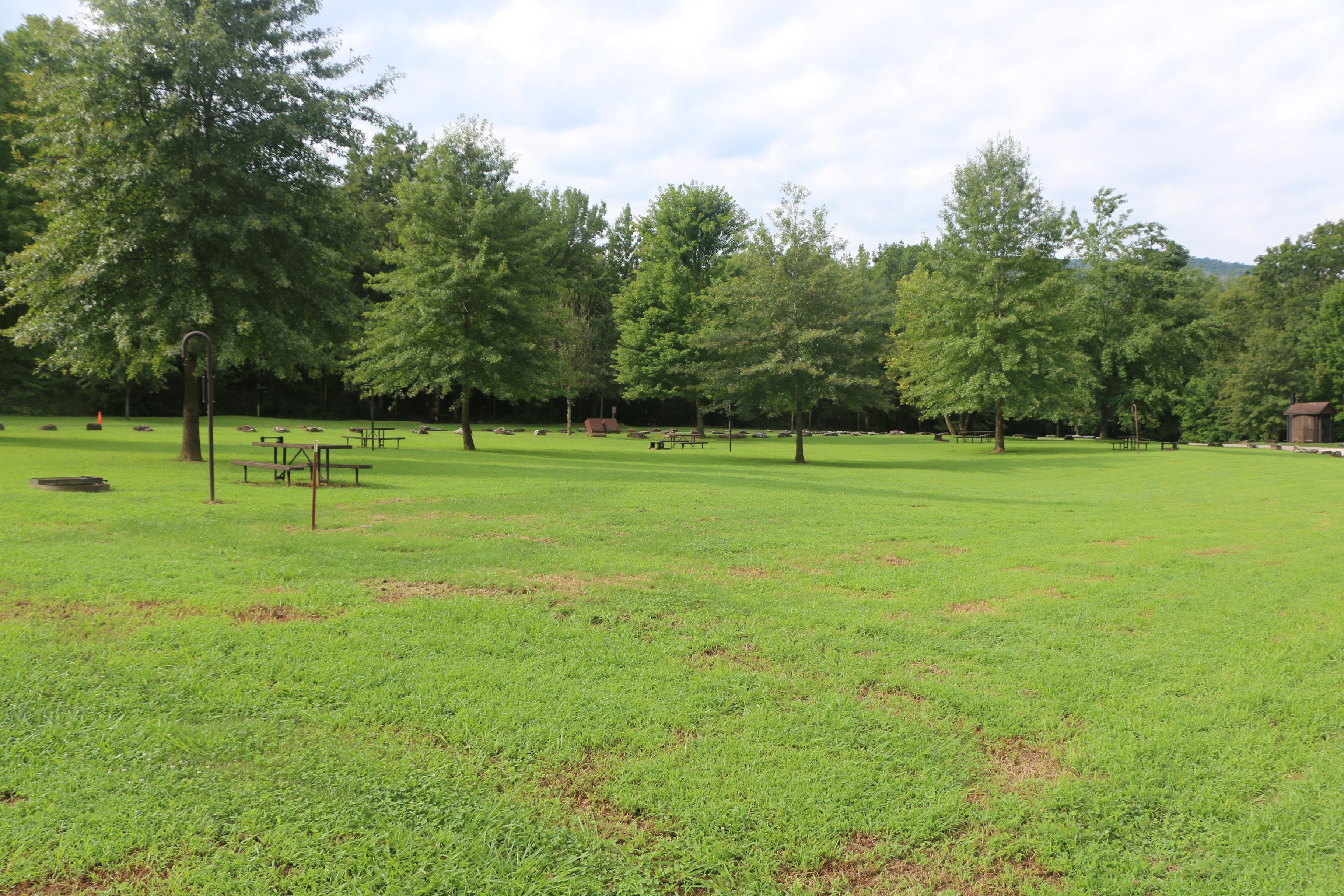 Five campsites at Kyle's Landing with very few shade trees