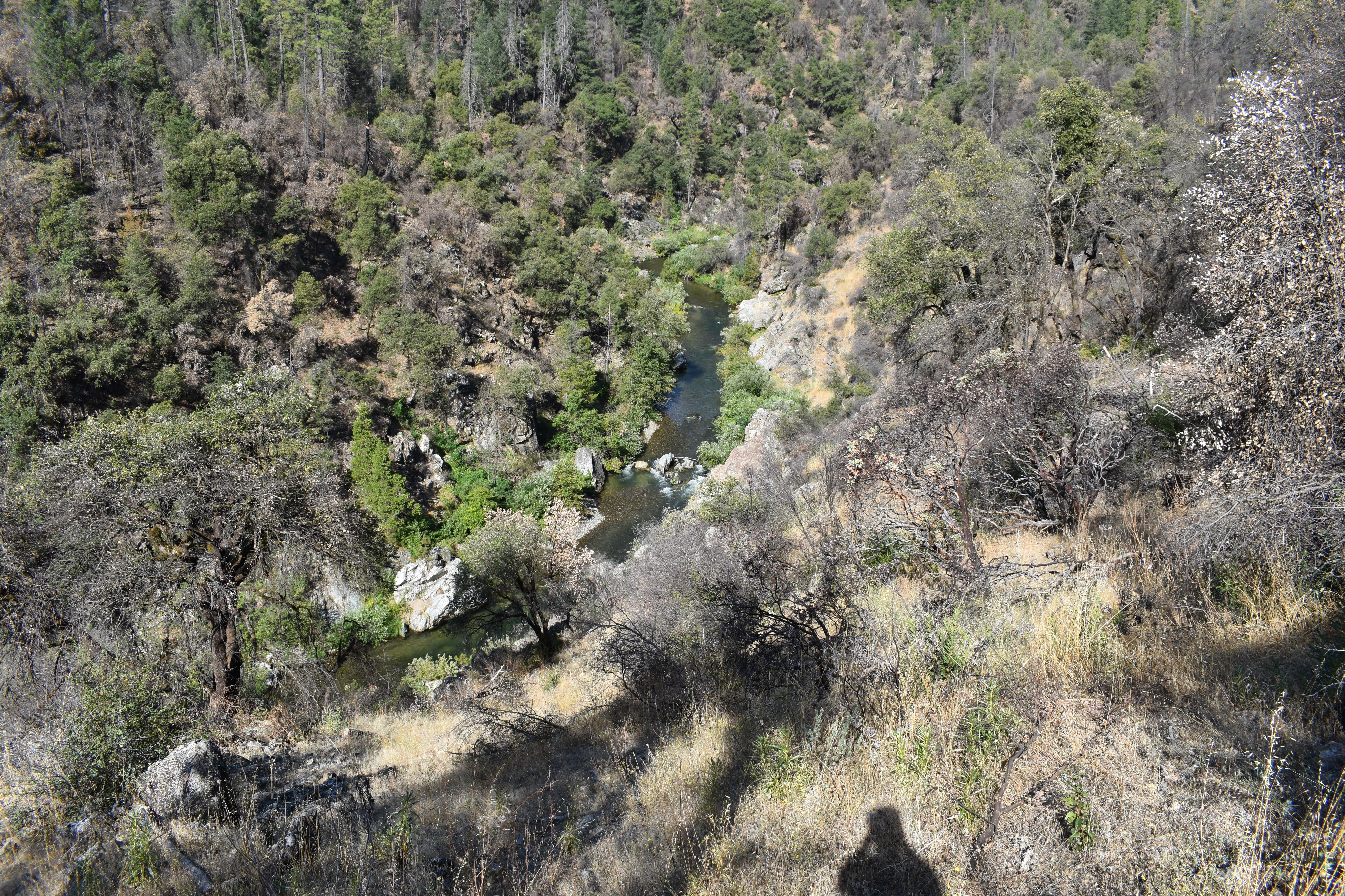 Clear Creek from Guardian Rock Trail
