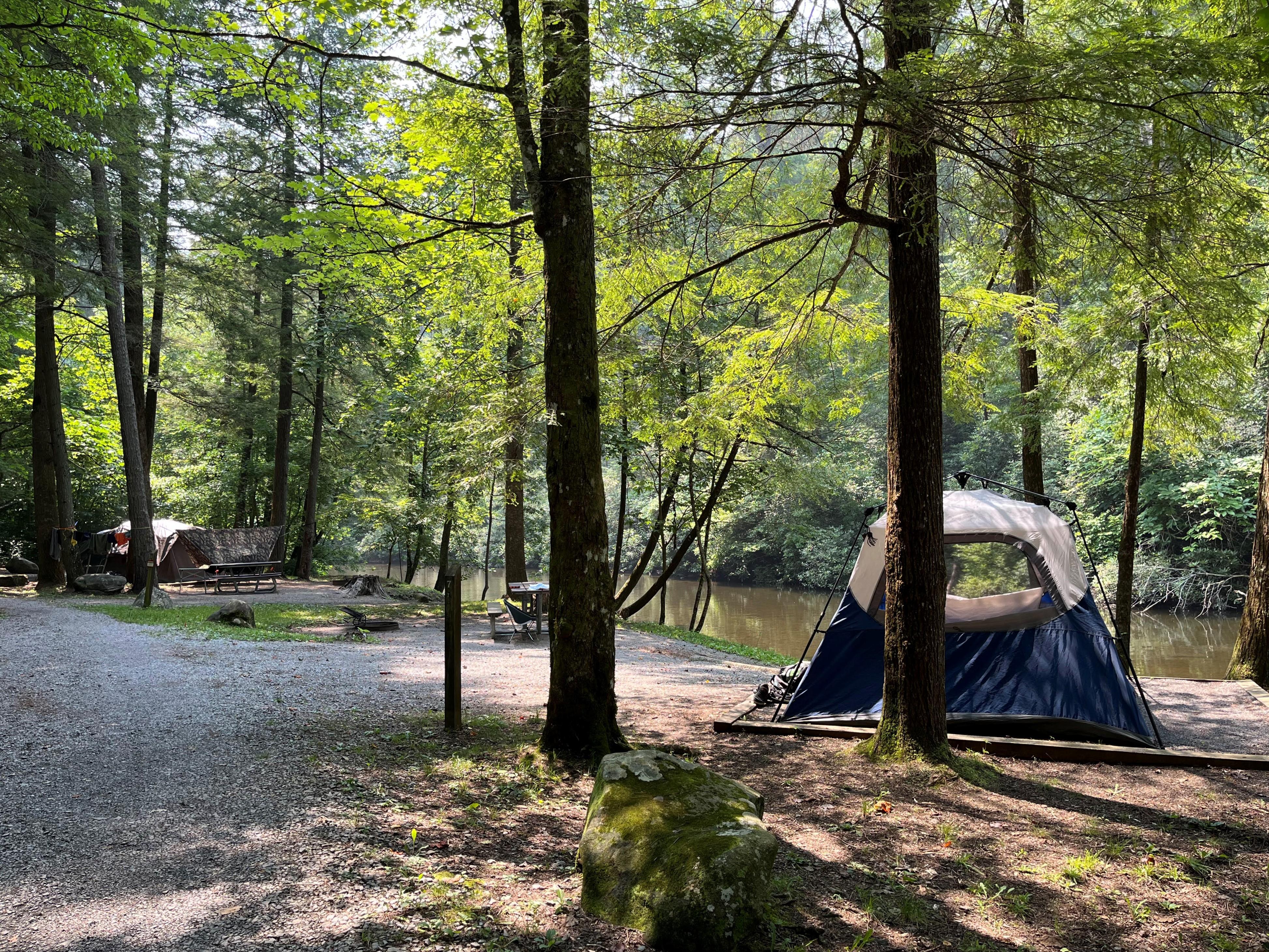 Abrams Creek Campground
