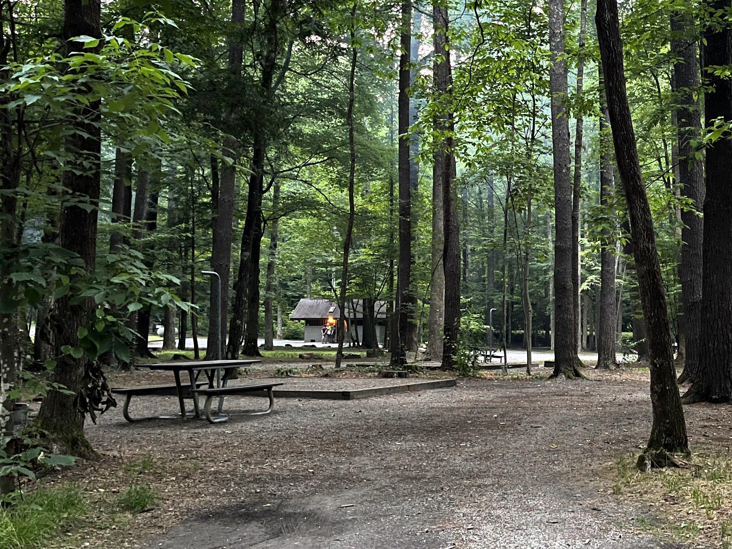 Two campsites near each other, each within view of restroom structure.
