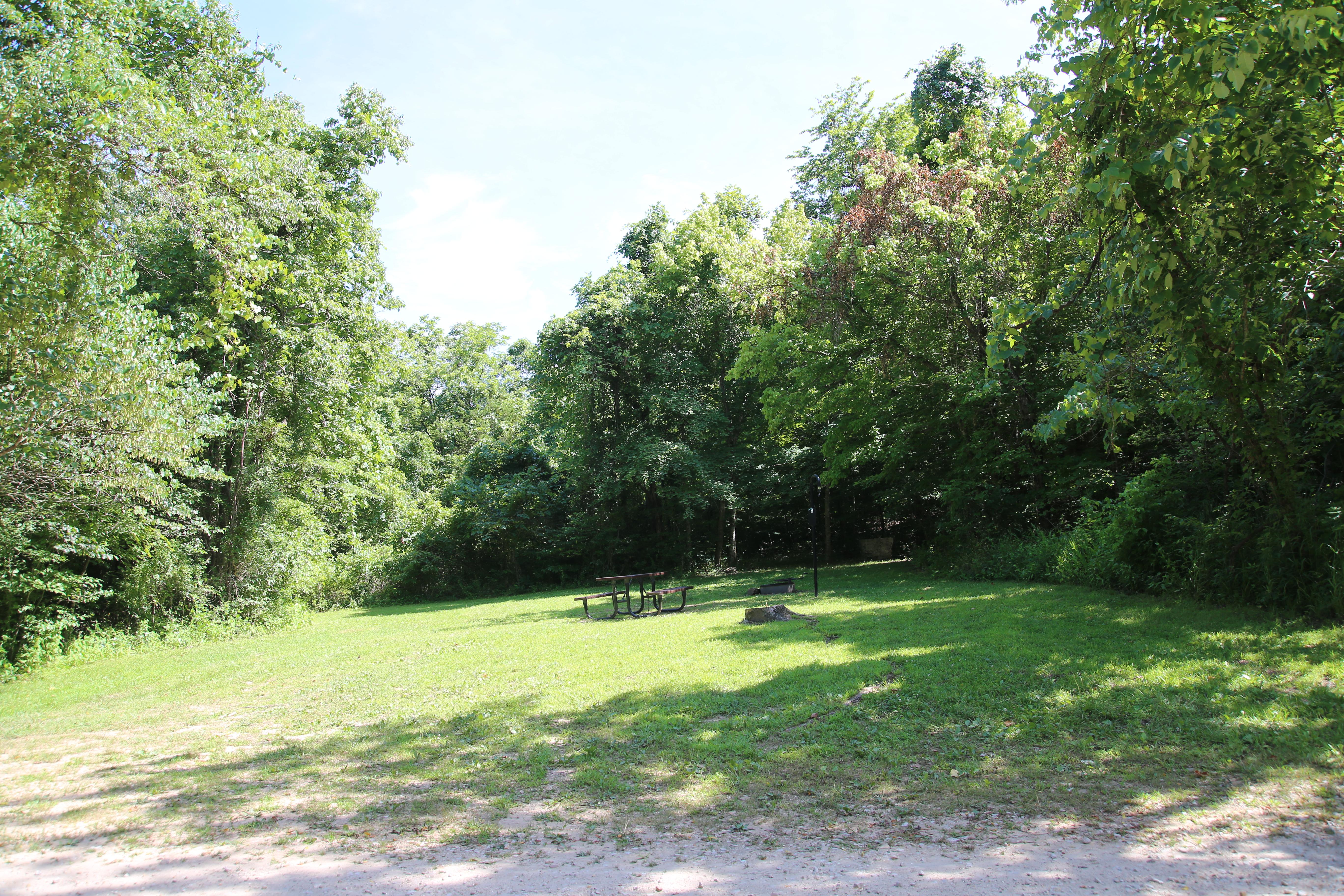 A grassy campsite surrounded by trees.