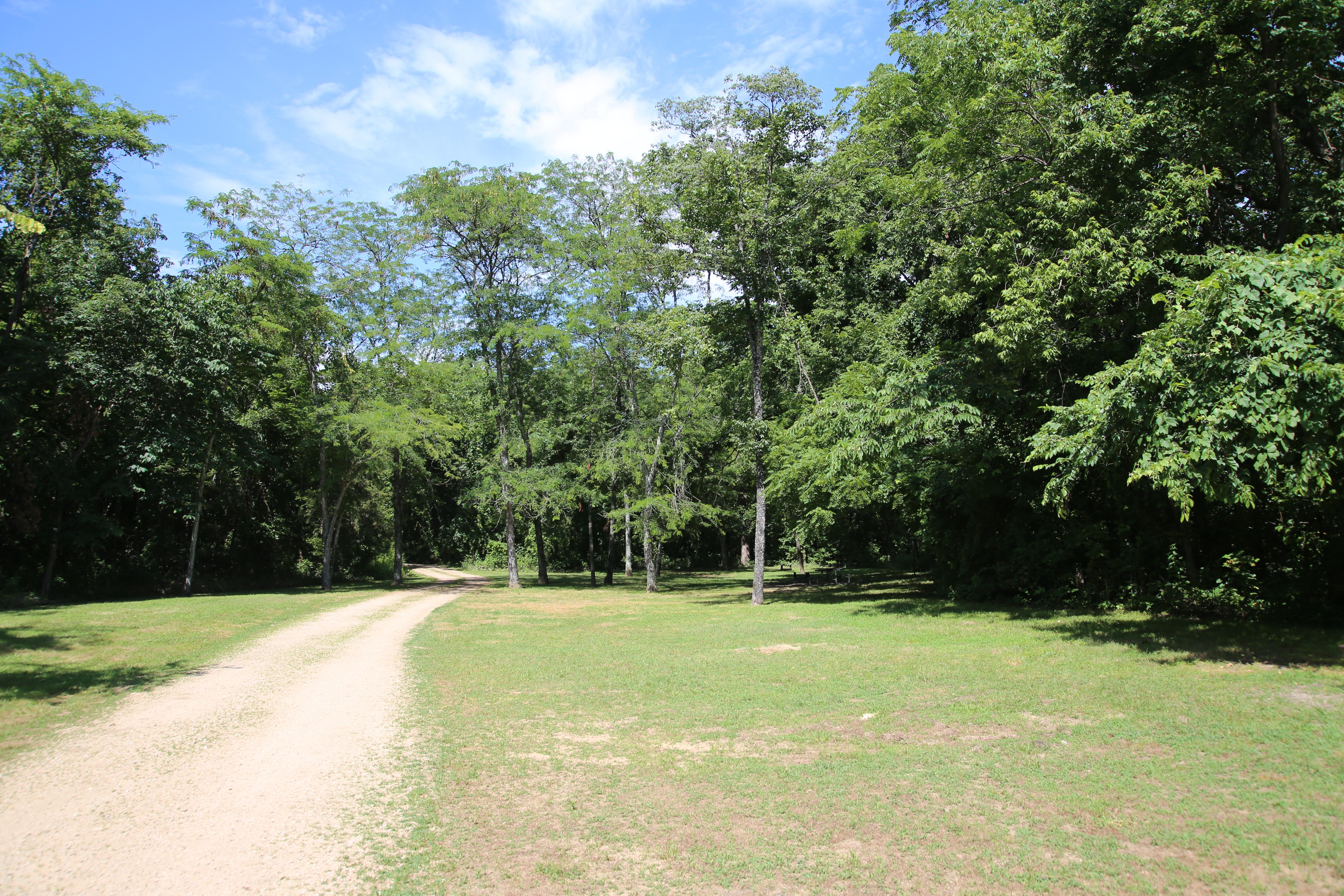 A grassy clearing with a shaded campsite in the background.