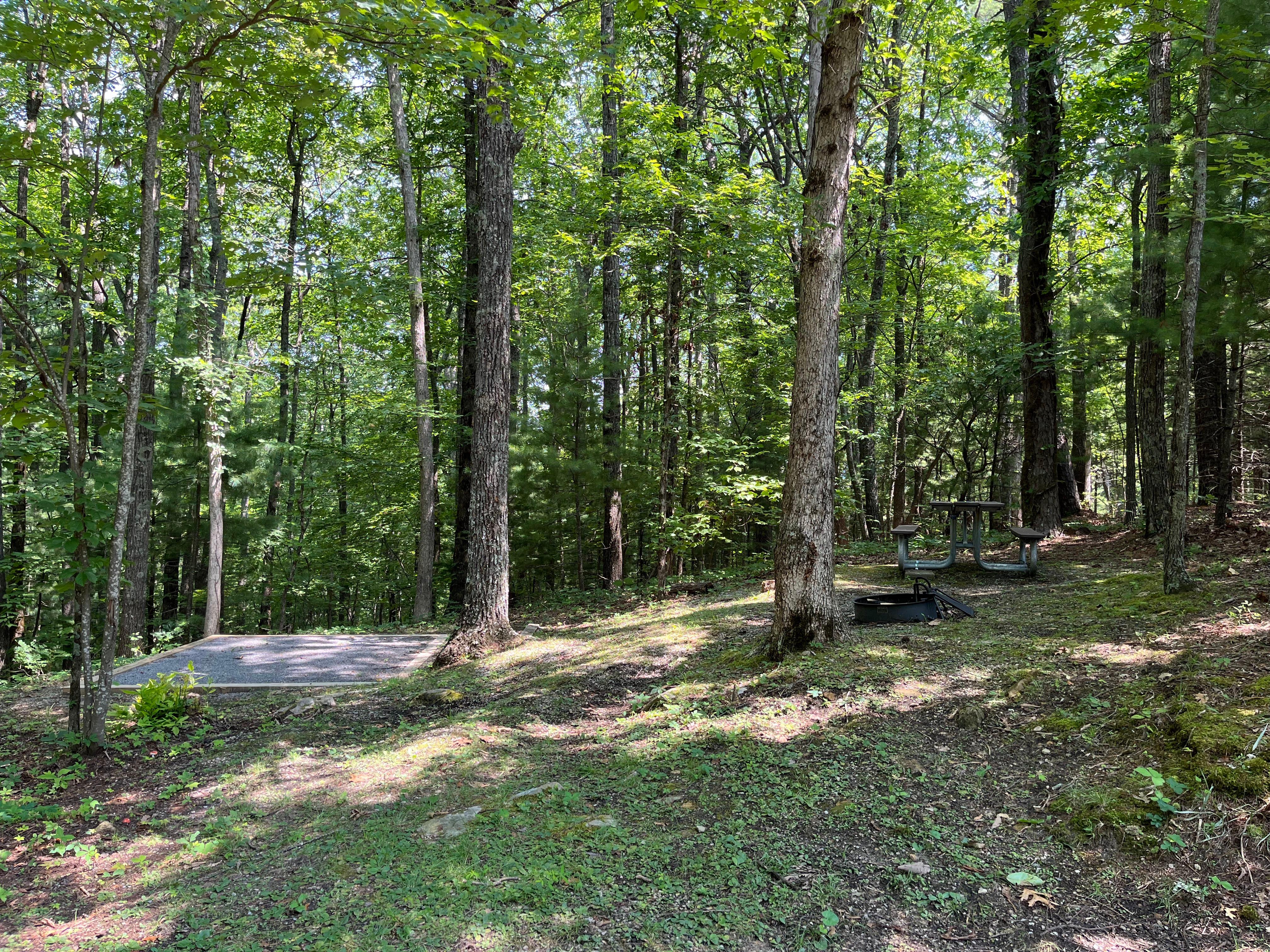 A picnic table and fire ring upslope from a tent pad at a forested campsite.