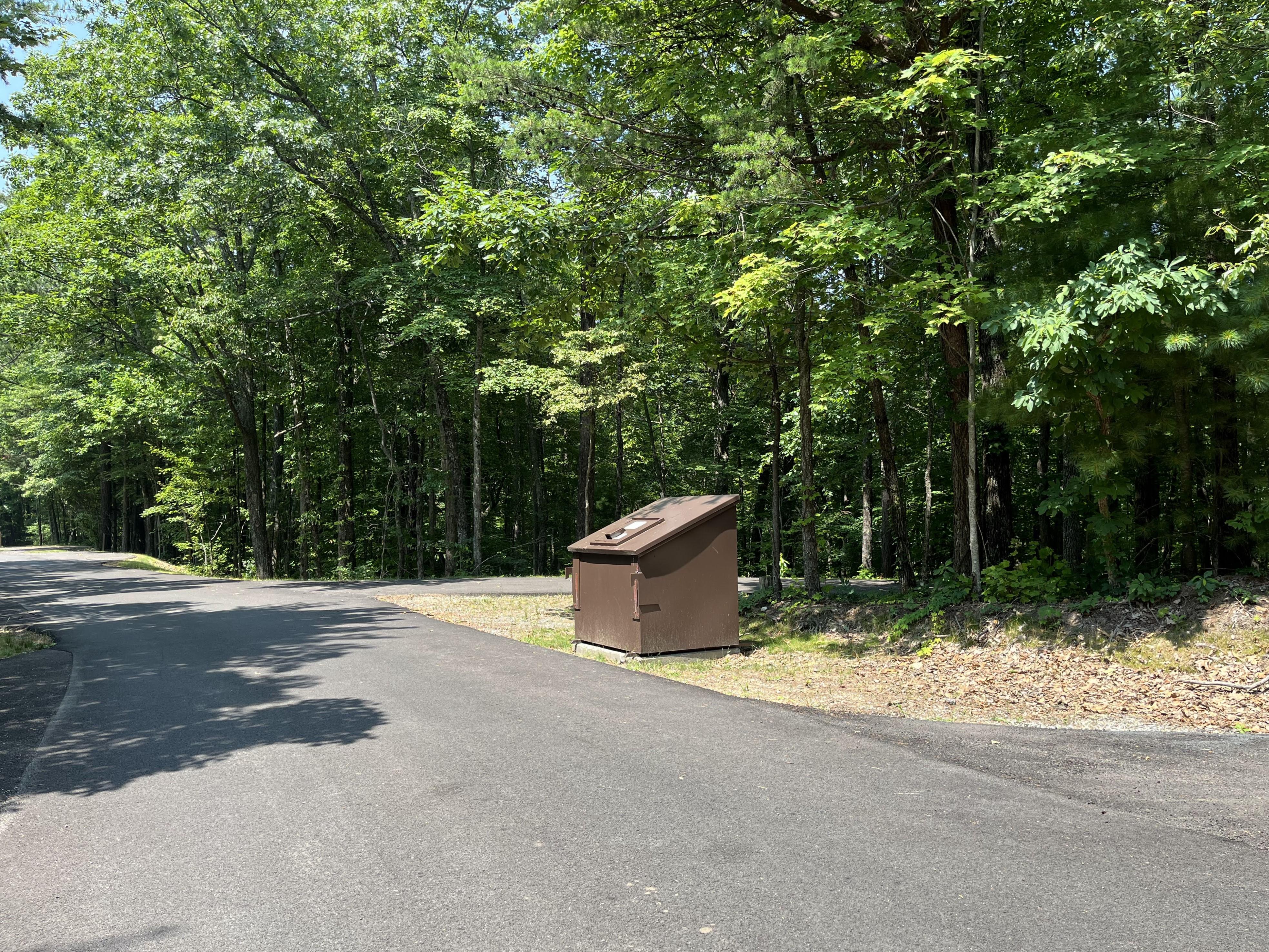 A brown dumpster beside a paved road surrounded by green trees.