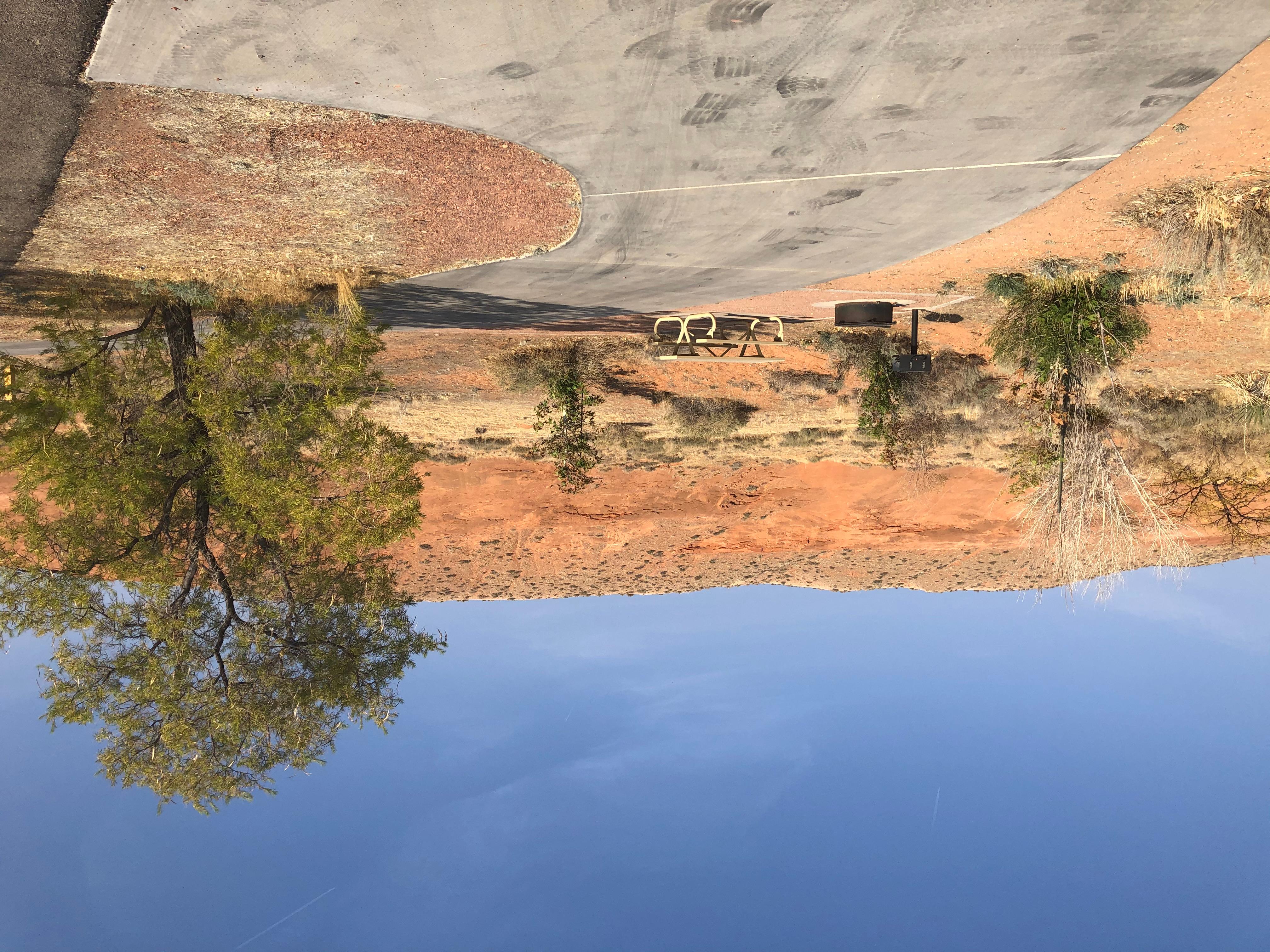 paved camping spot with picnic table, grill, and tree.