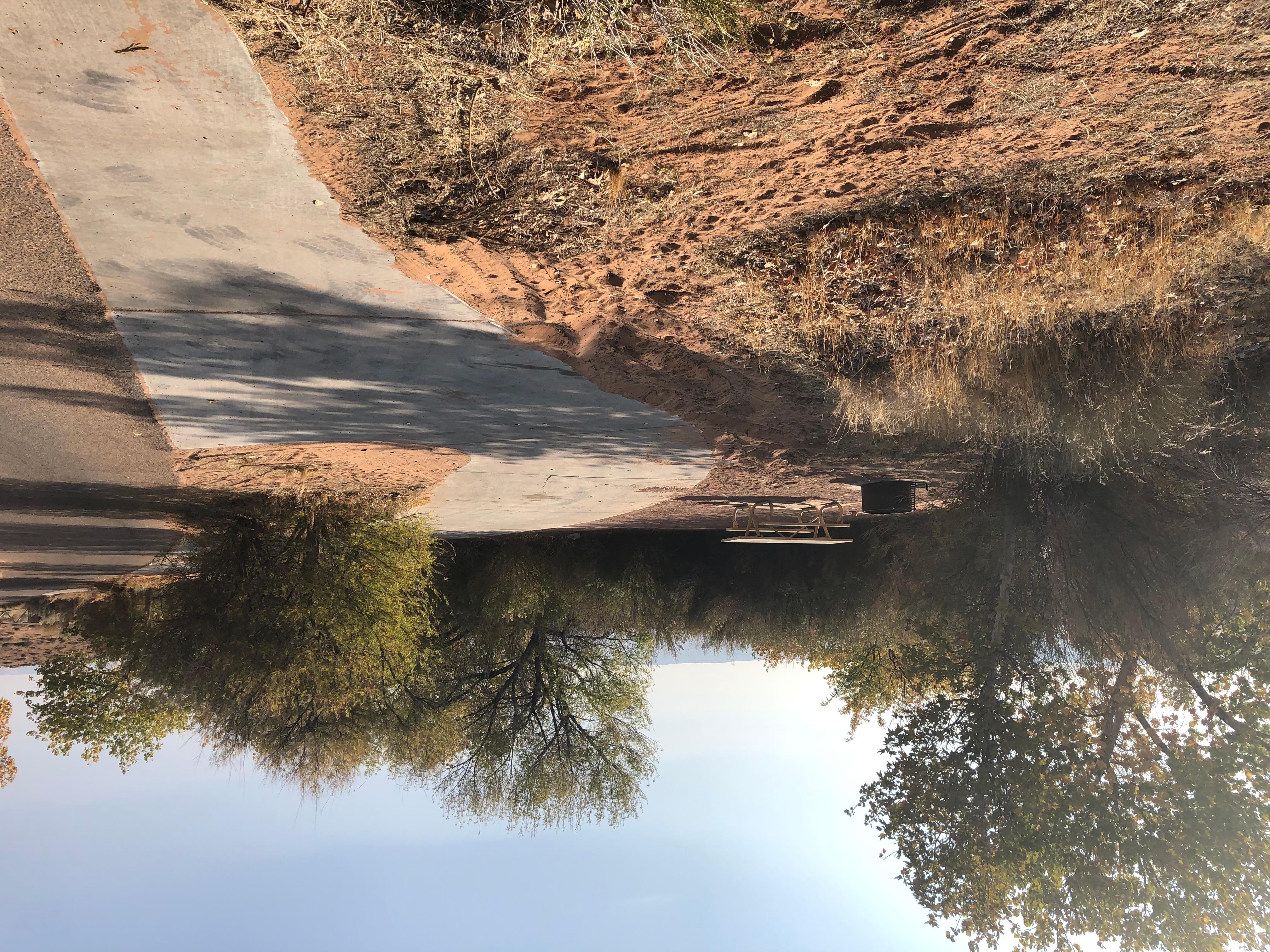 Paved pullout with picnic table and grill, some trees.