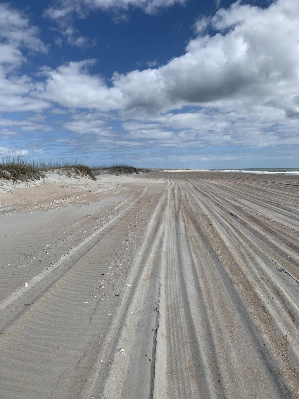 wide sandy beach with dunes on left side and ocean waves on the right