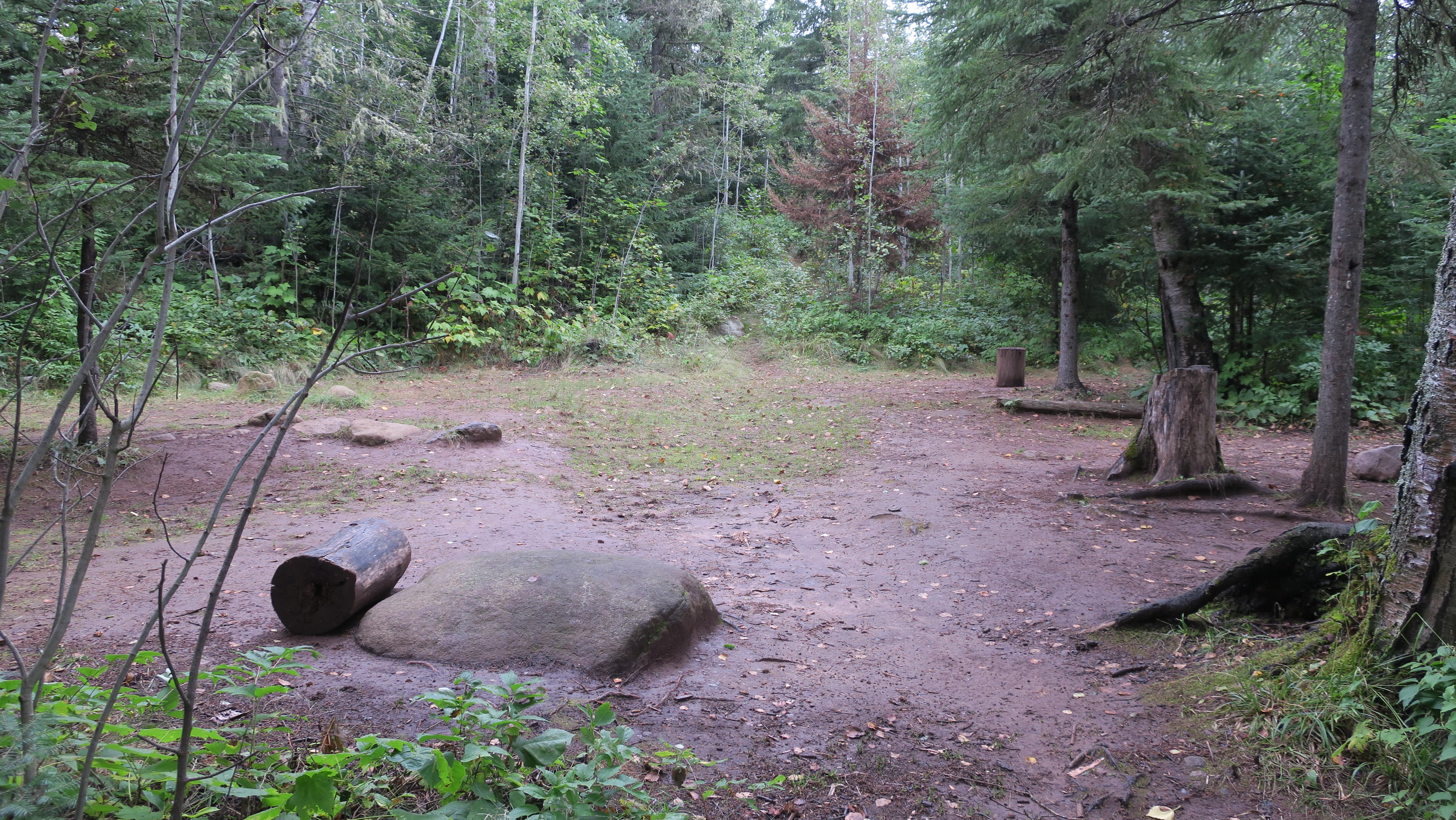 Wide view of group campsite, clearing surrounded by trees.