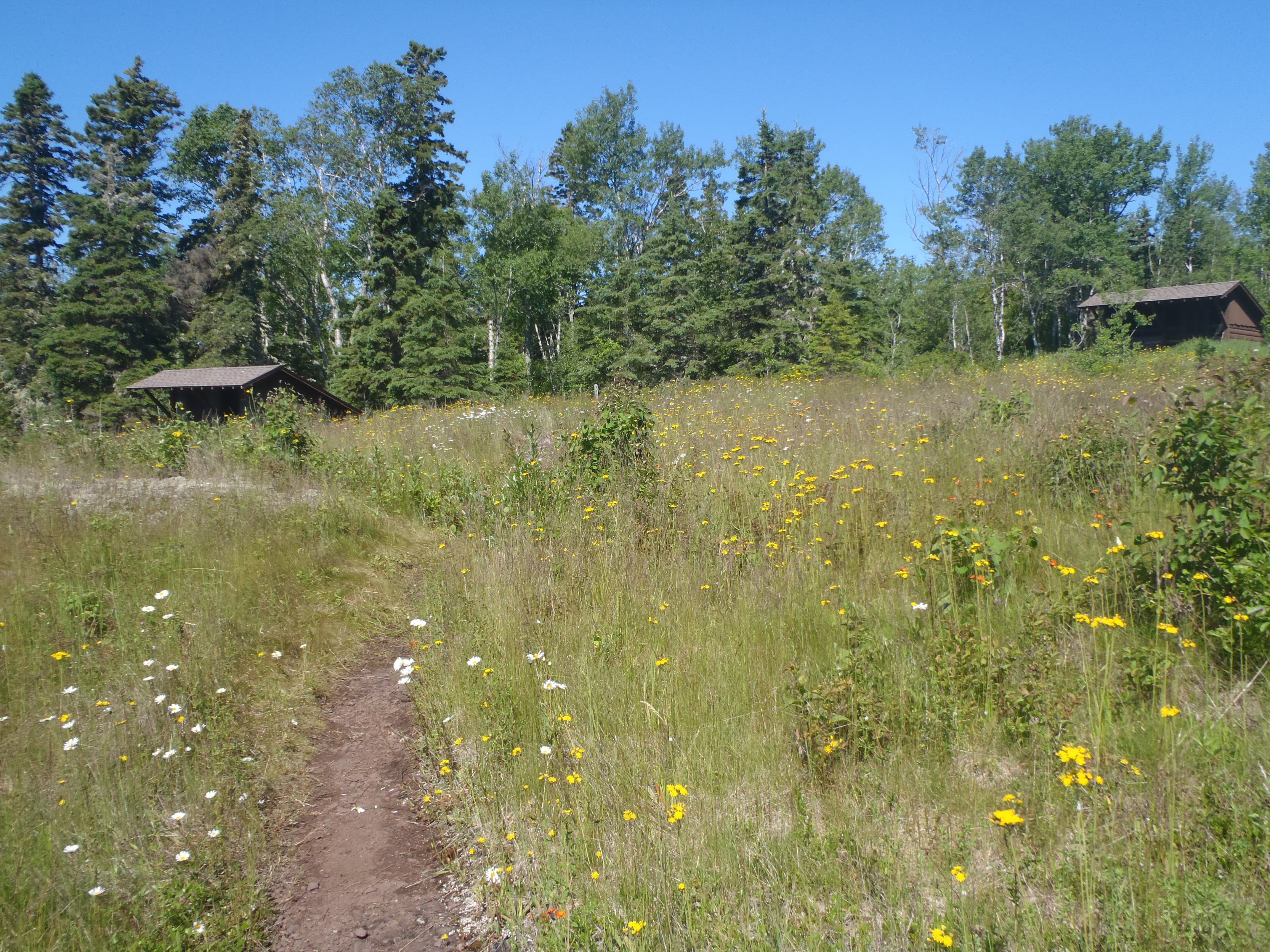 Trail in a field to two shelters along the forest's edge.